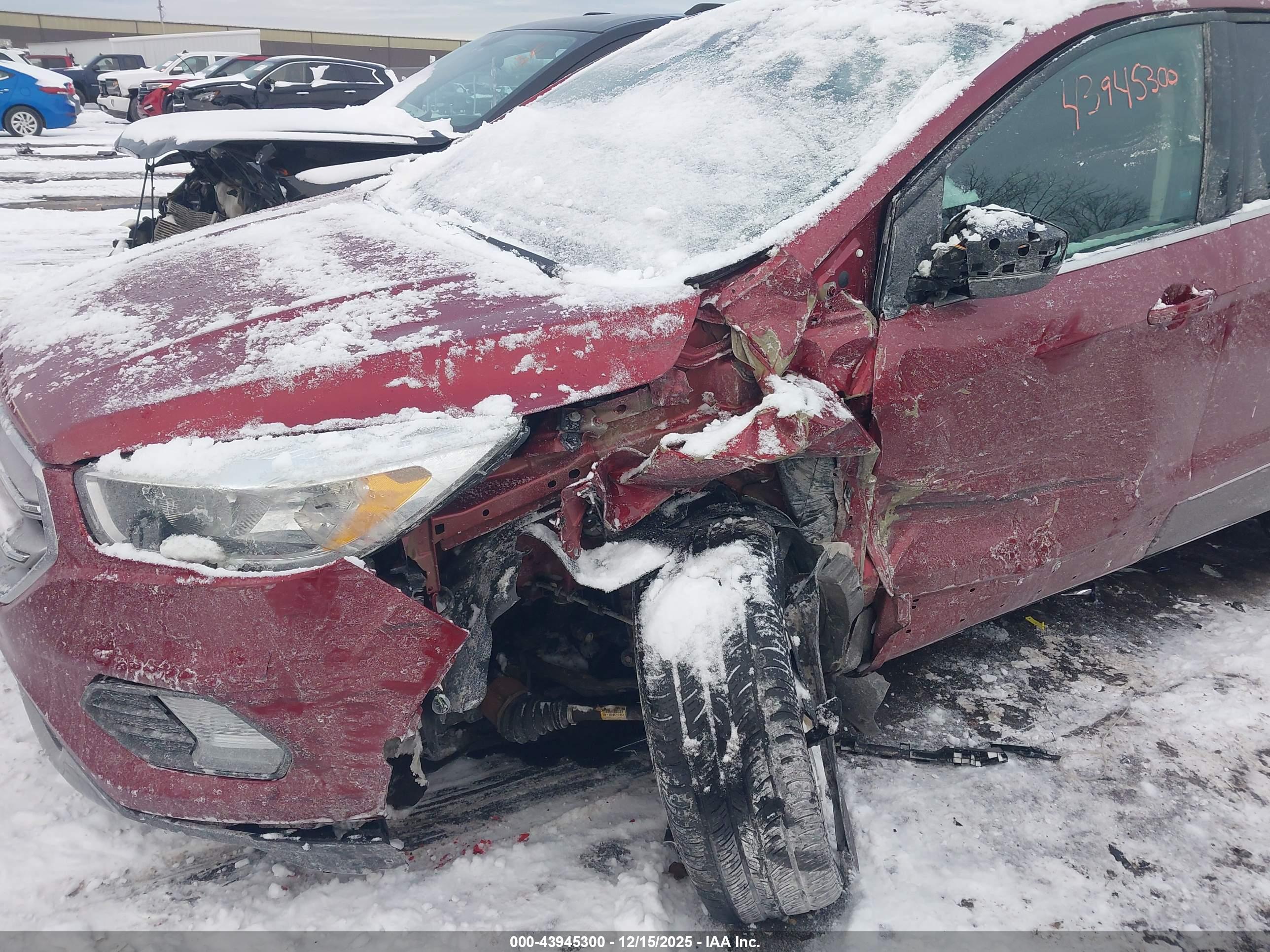 FORD ESCAPE image 6