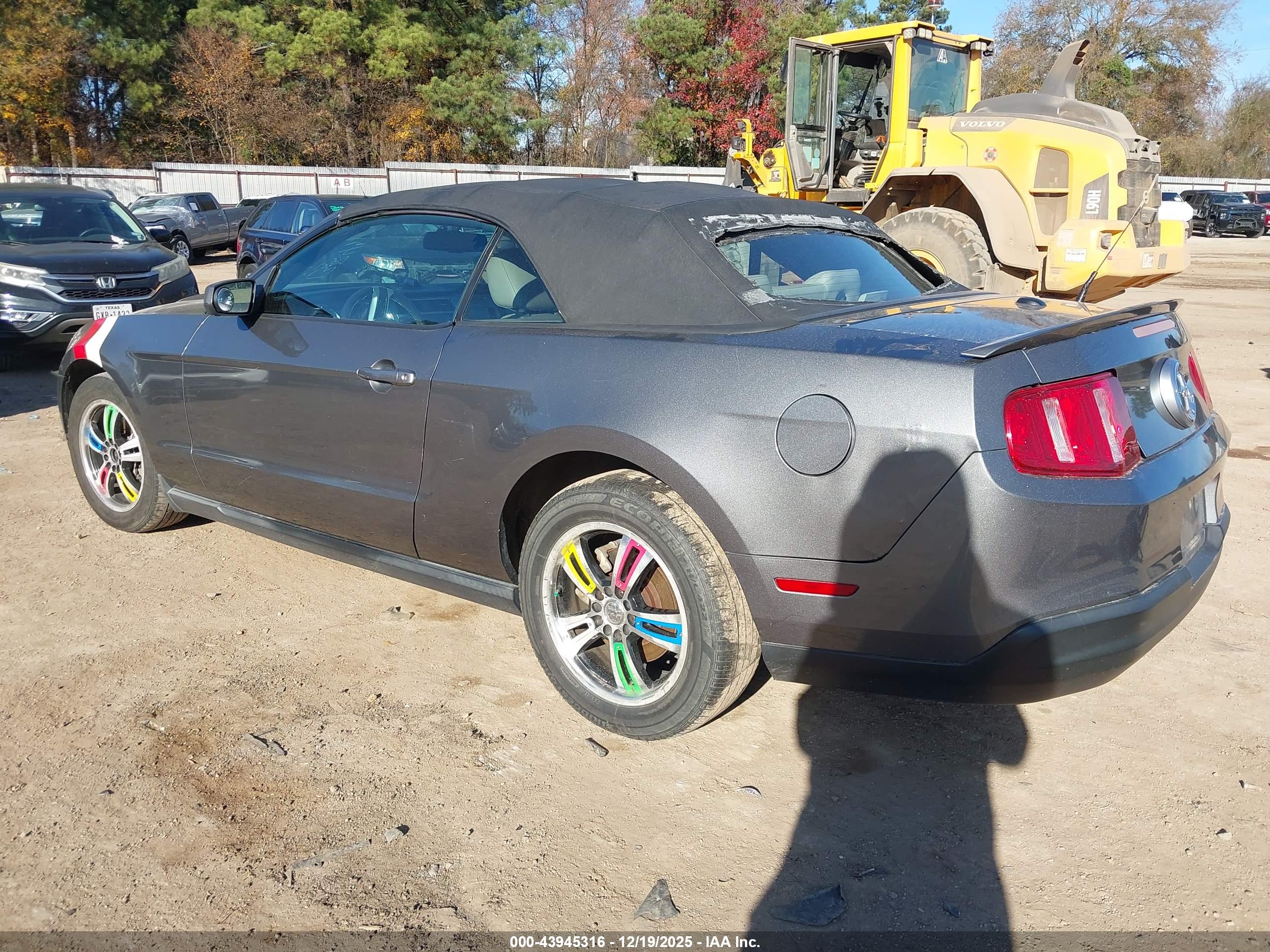 FORD MUSTANG image 3