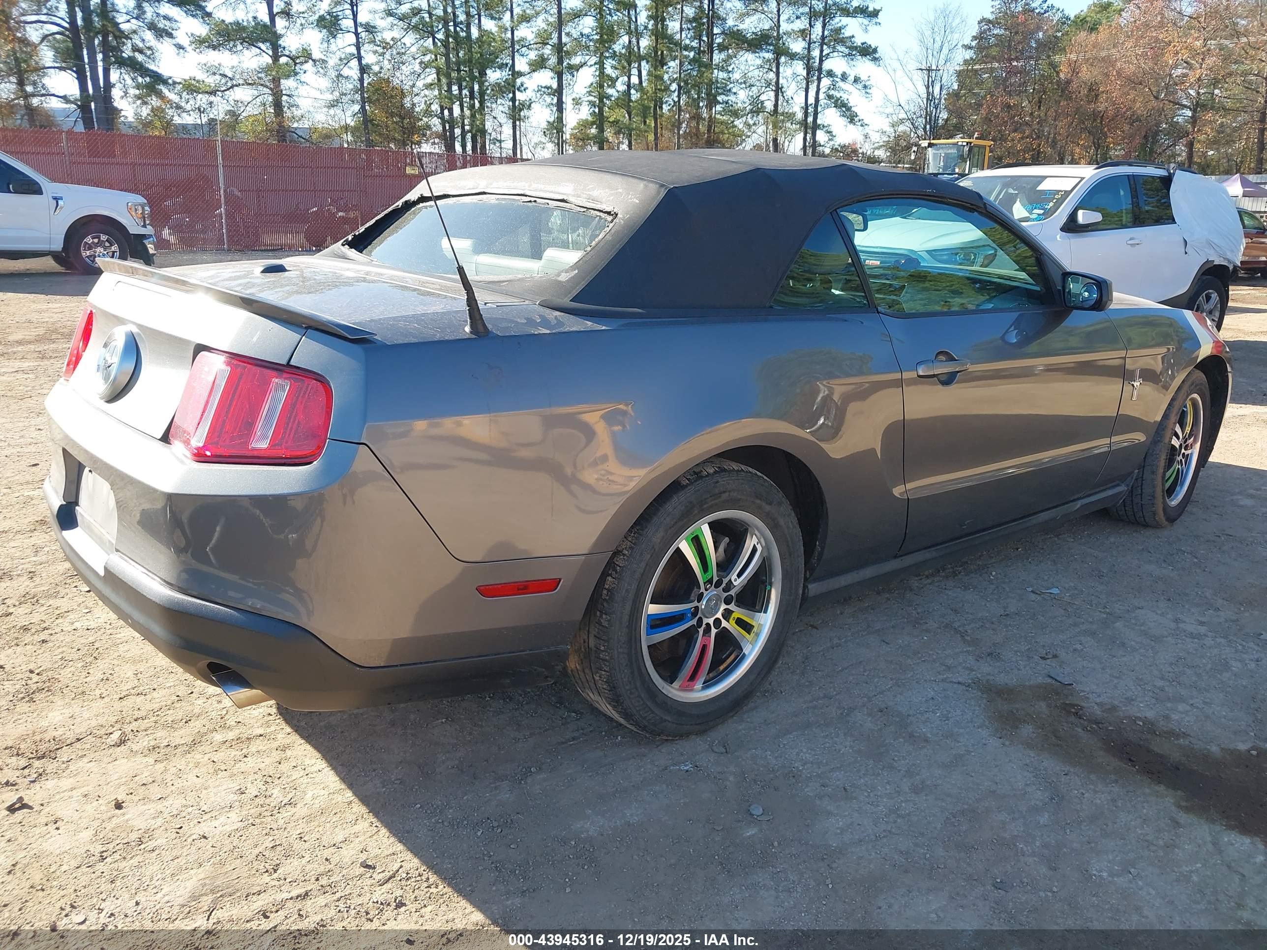 FORD MUSTANG image 4