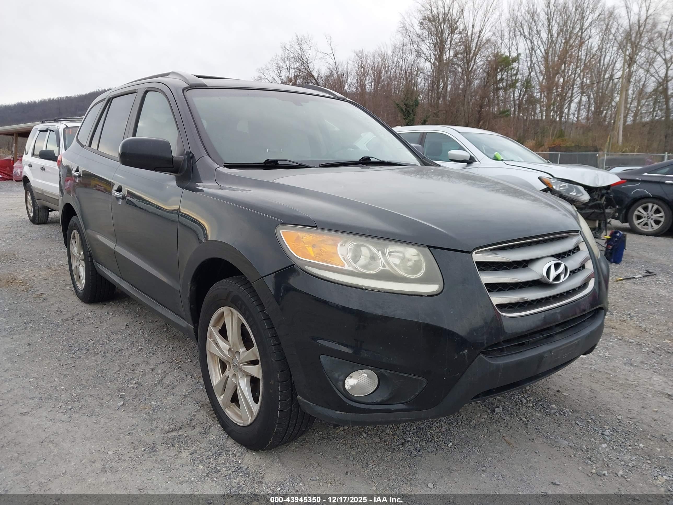 HYUNDAI SANTA image 6
