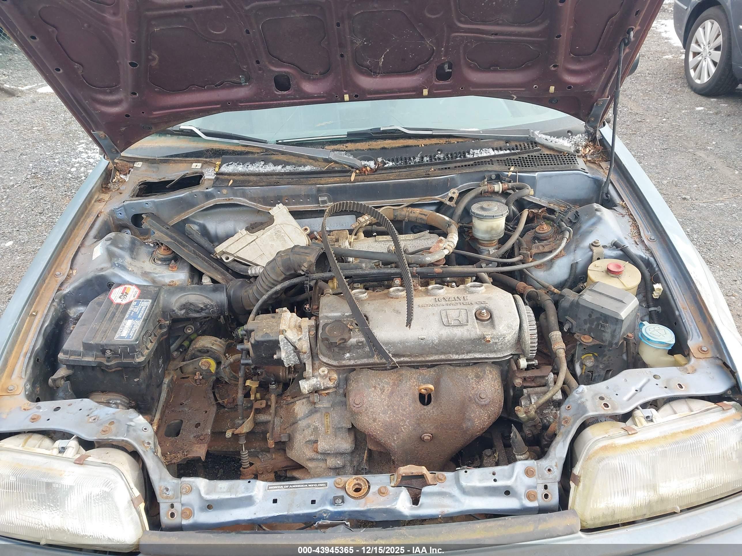 HONDA CIVIC image 10