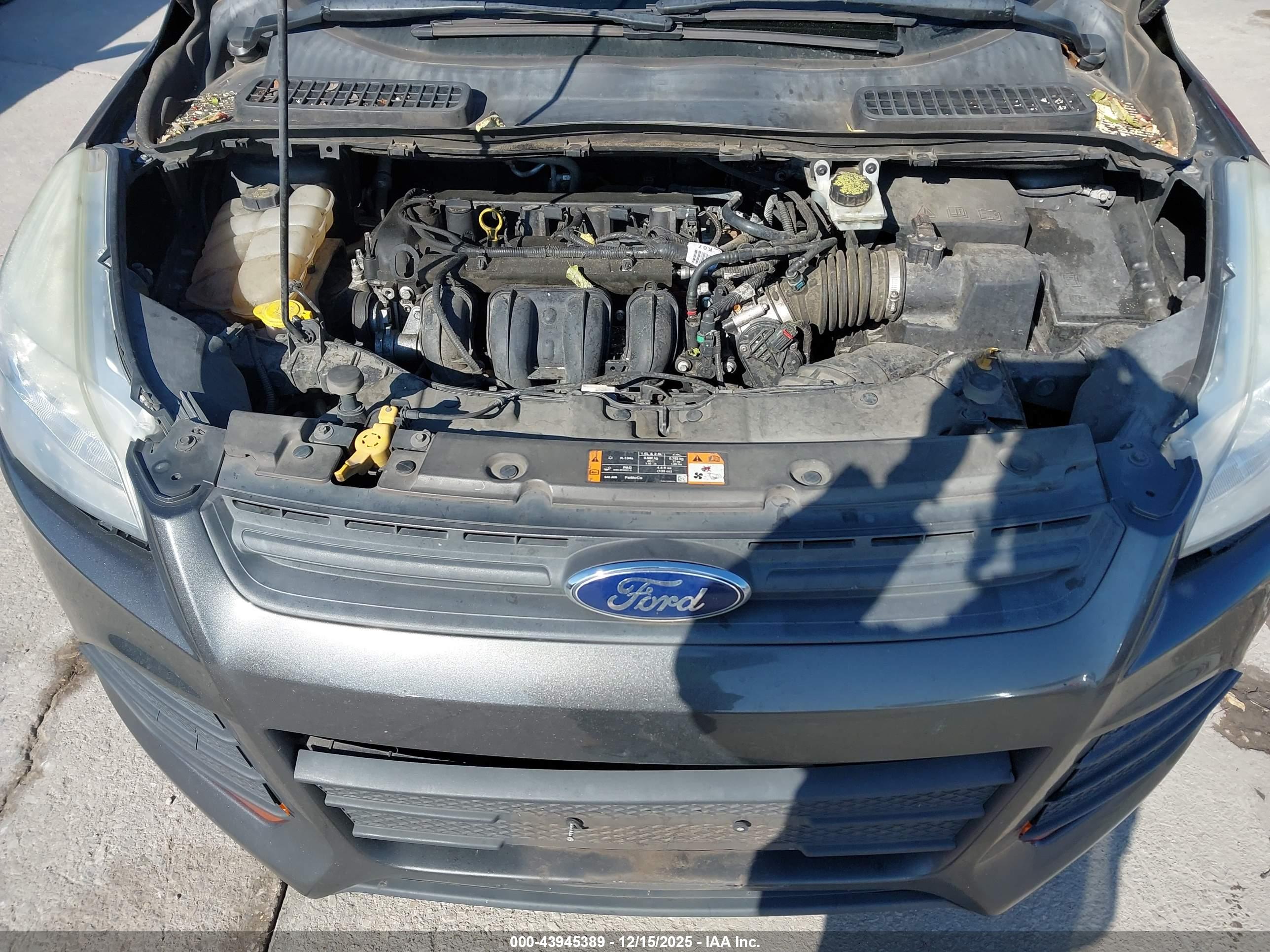 FORD ESCAPE image 10