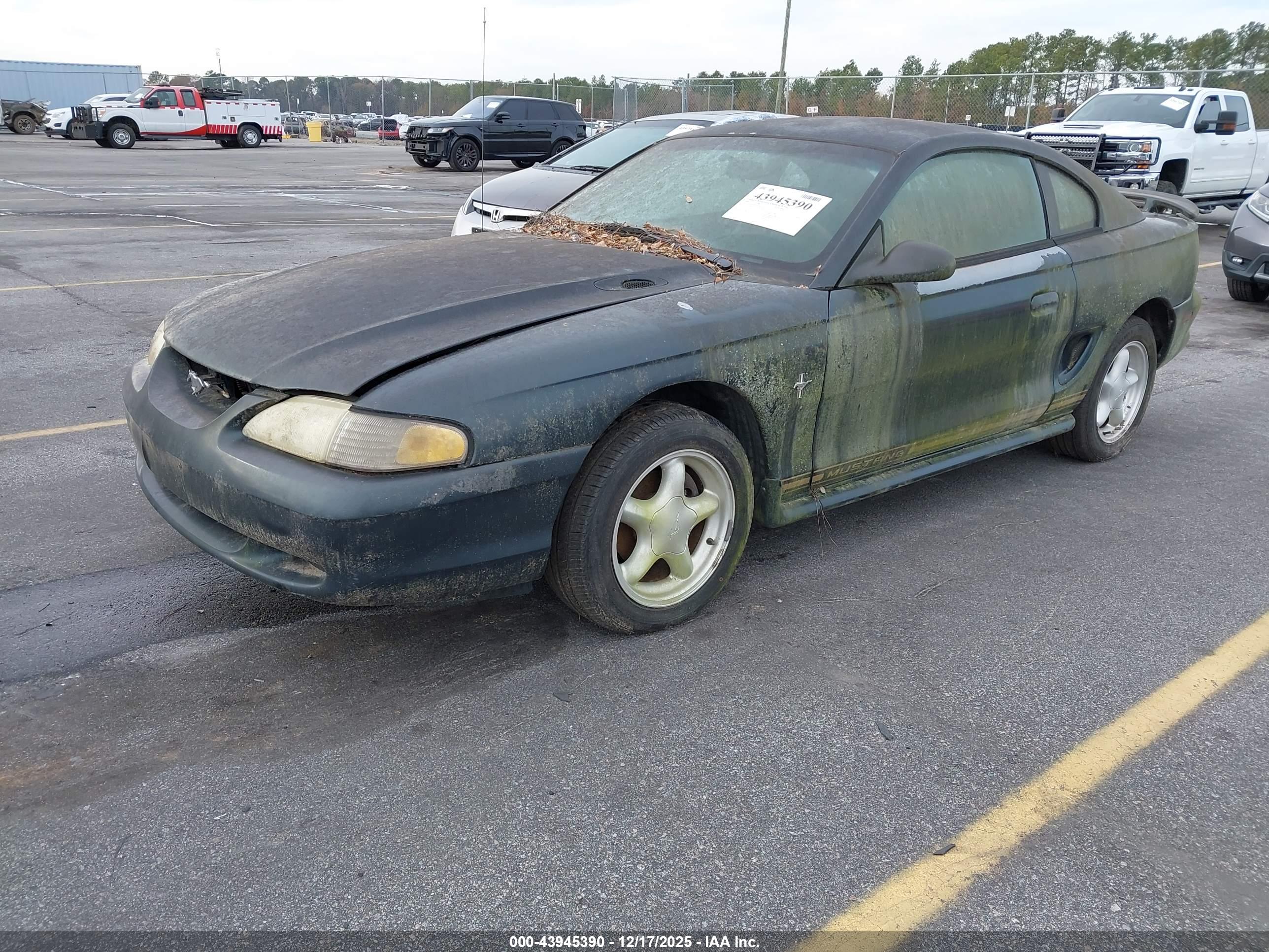 FORD MUSTANG image 2