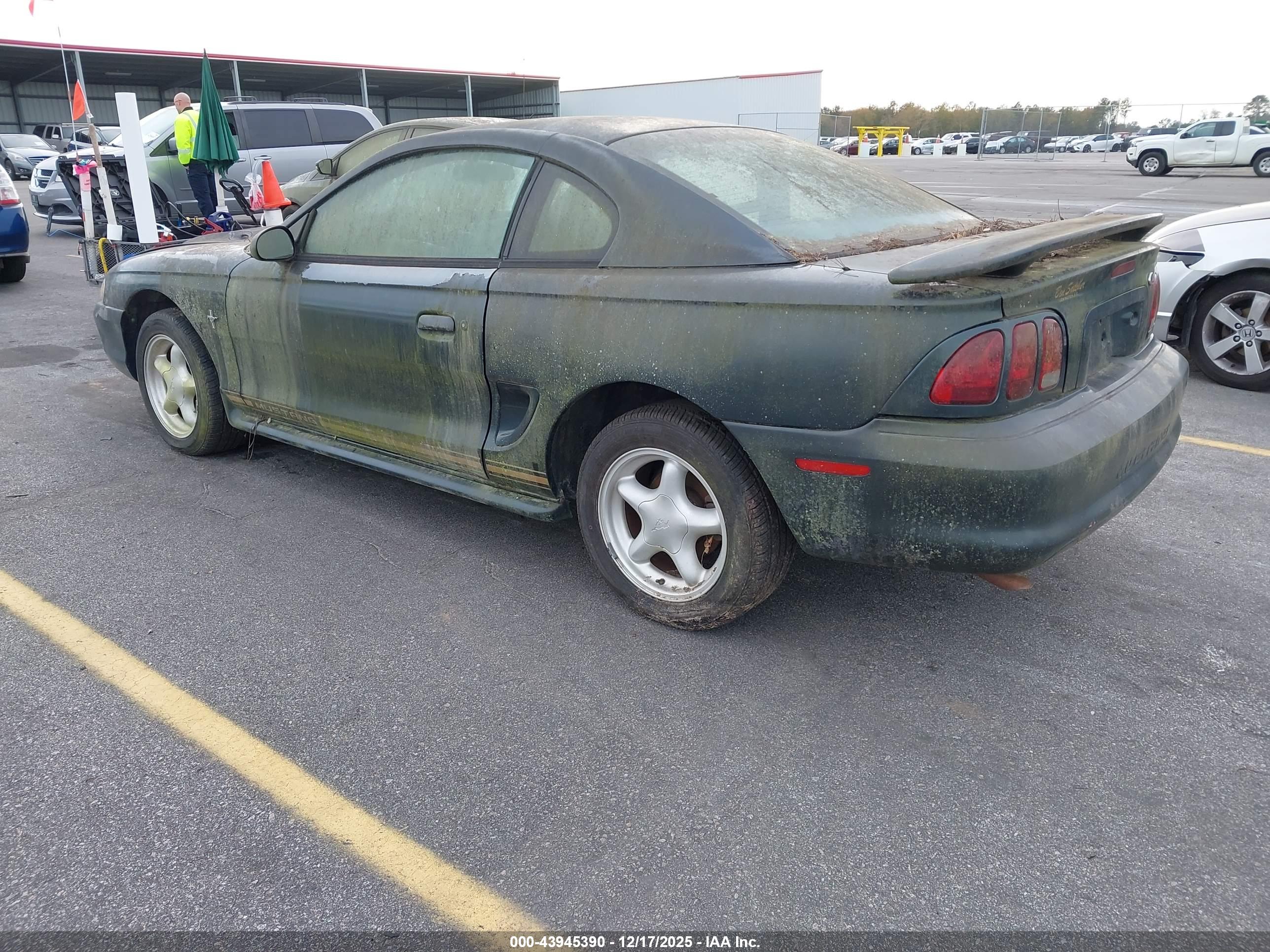 FORD MUSTANG image 3