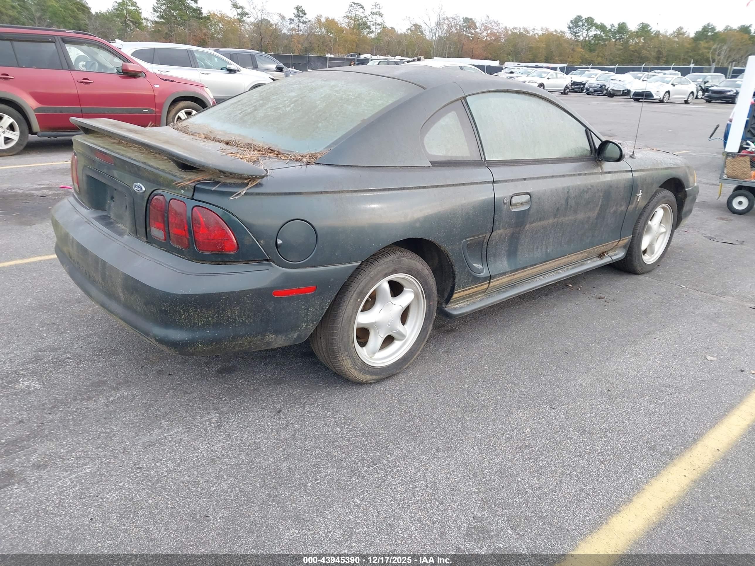 FORD MUSTANG image 4