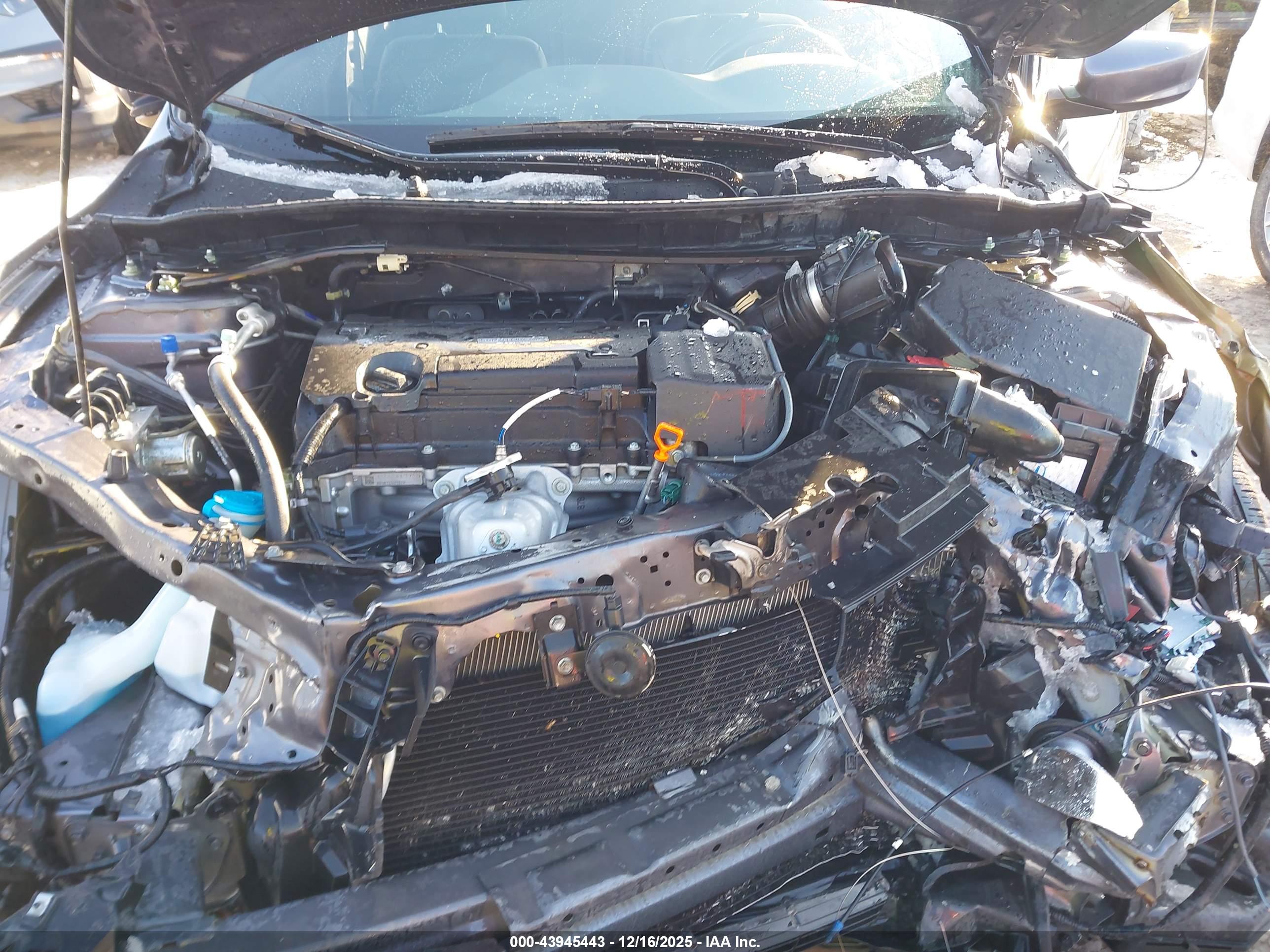 HONDA ACCORD image 10