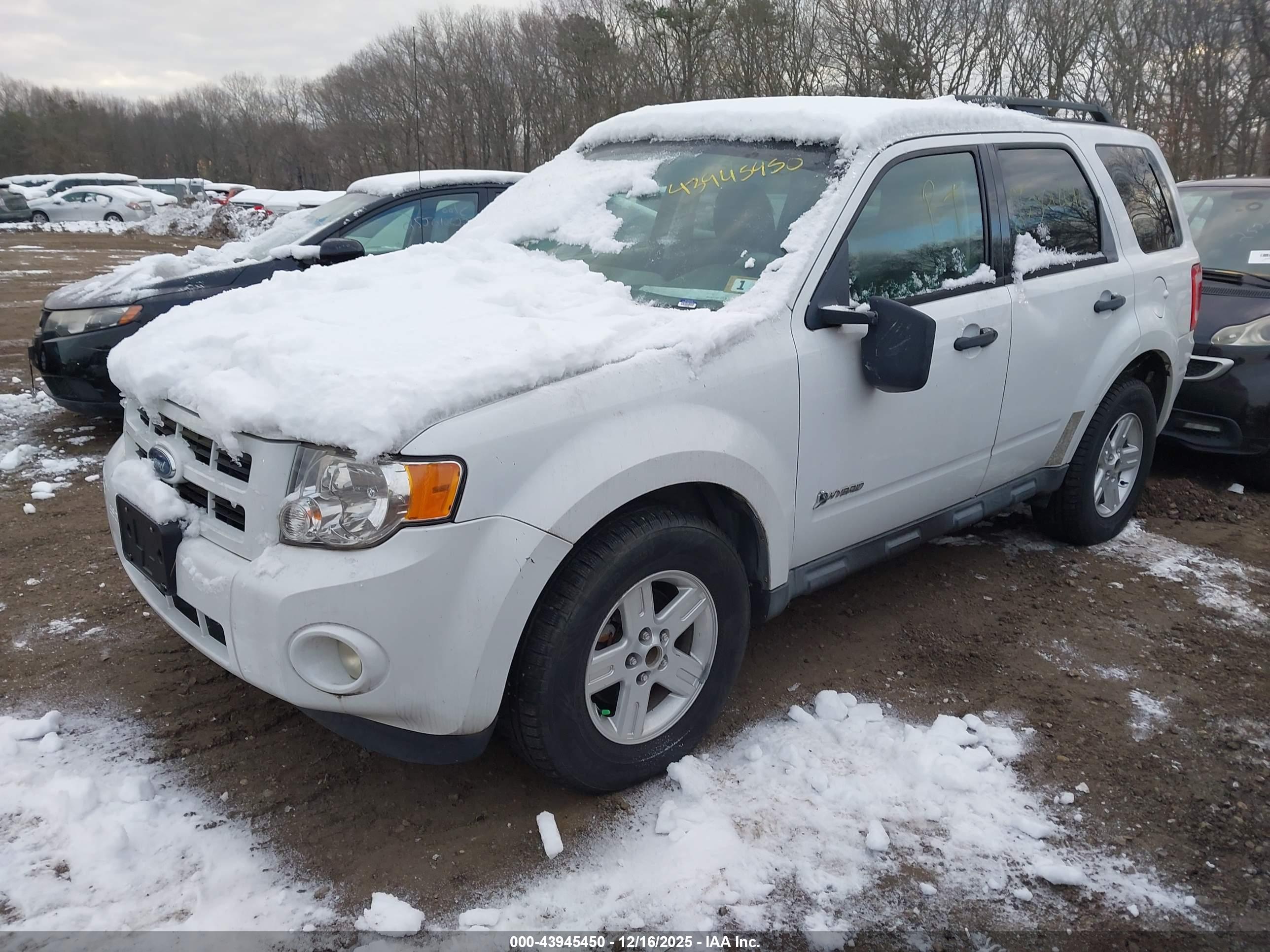 FORD ESCAPE image 2