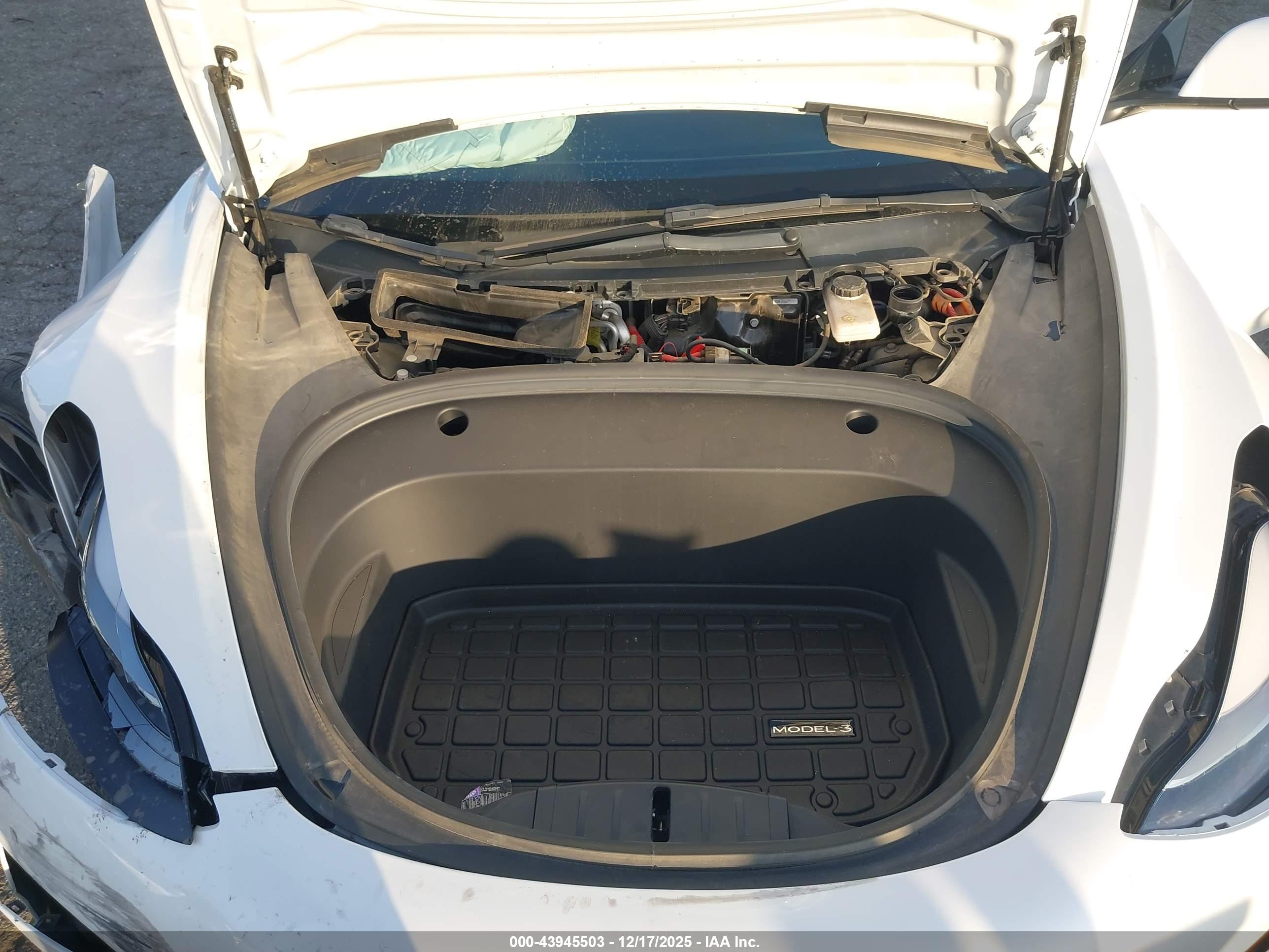 TESLA MODEL image 10