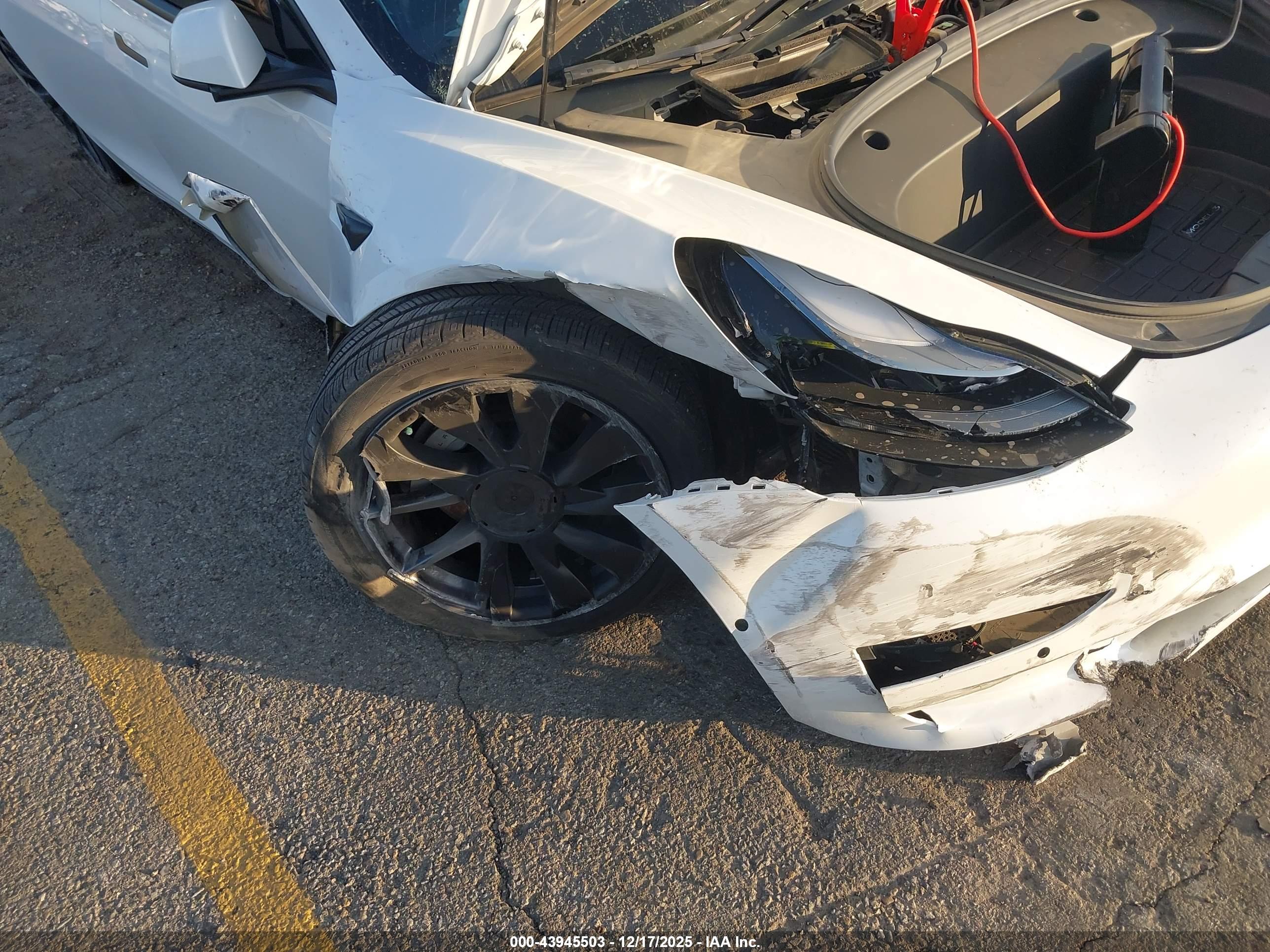 TESLA MODEL image 6