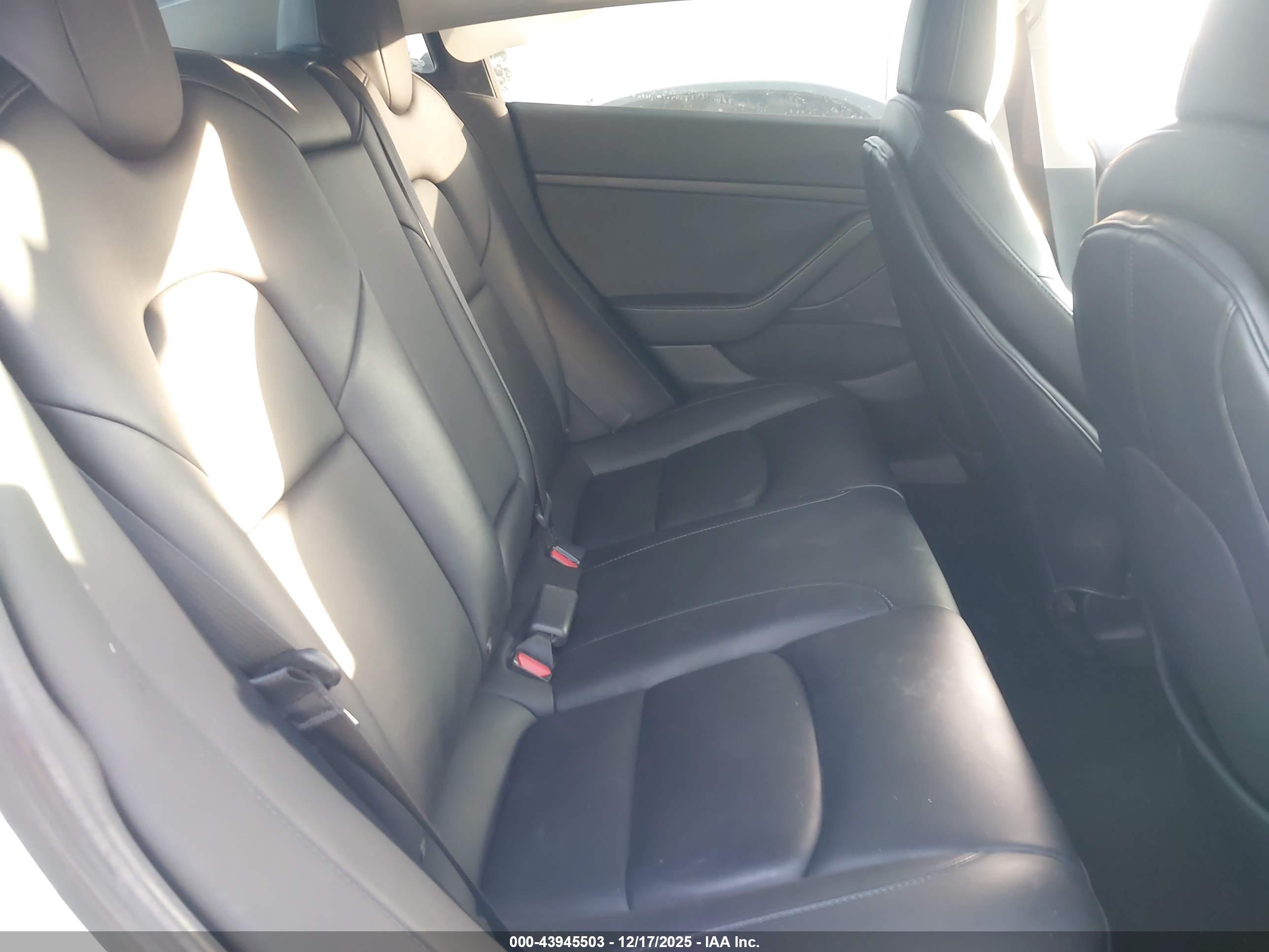 TESLA MODEL image 8