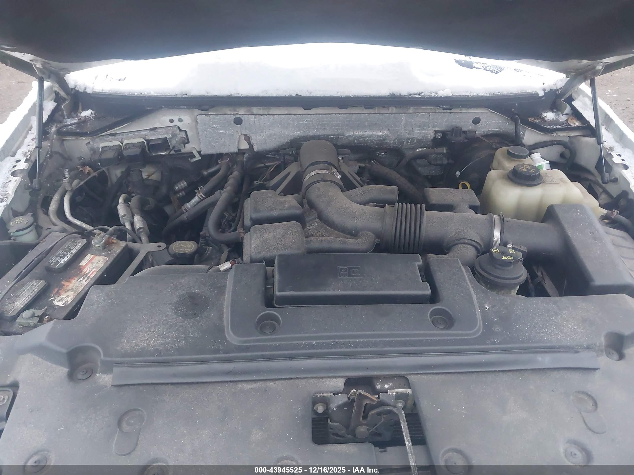 FORD EXPEDITION image 10