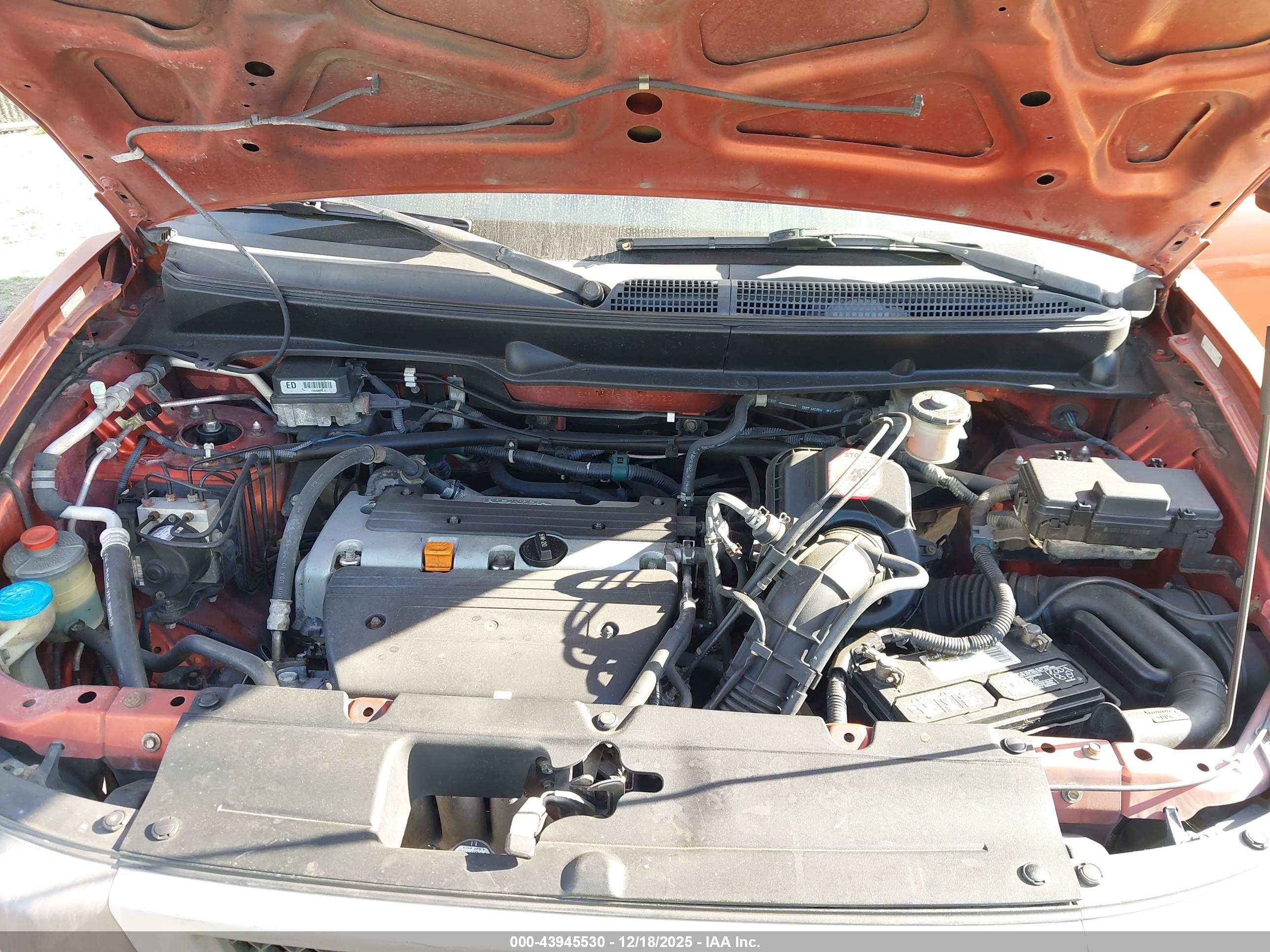 HONDA ELEMENT image 10