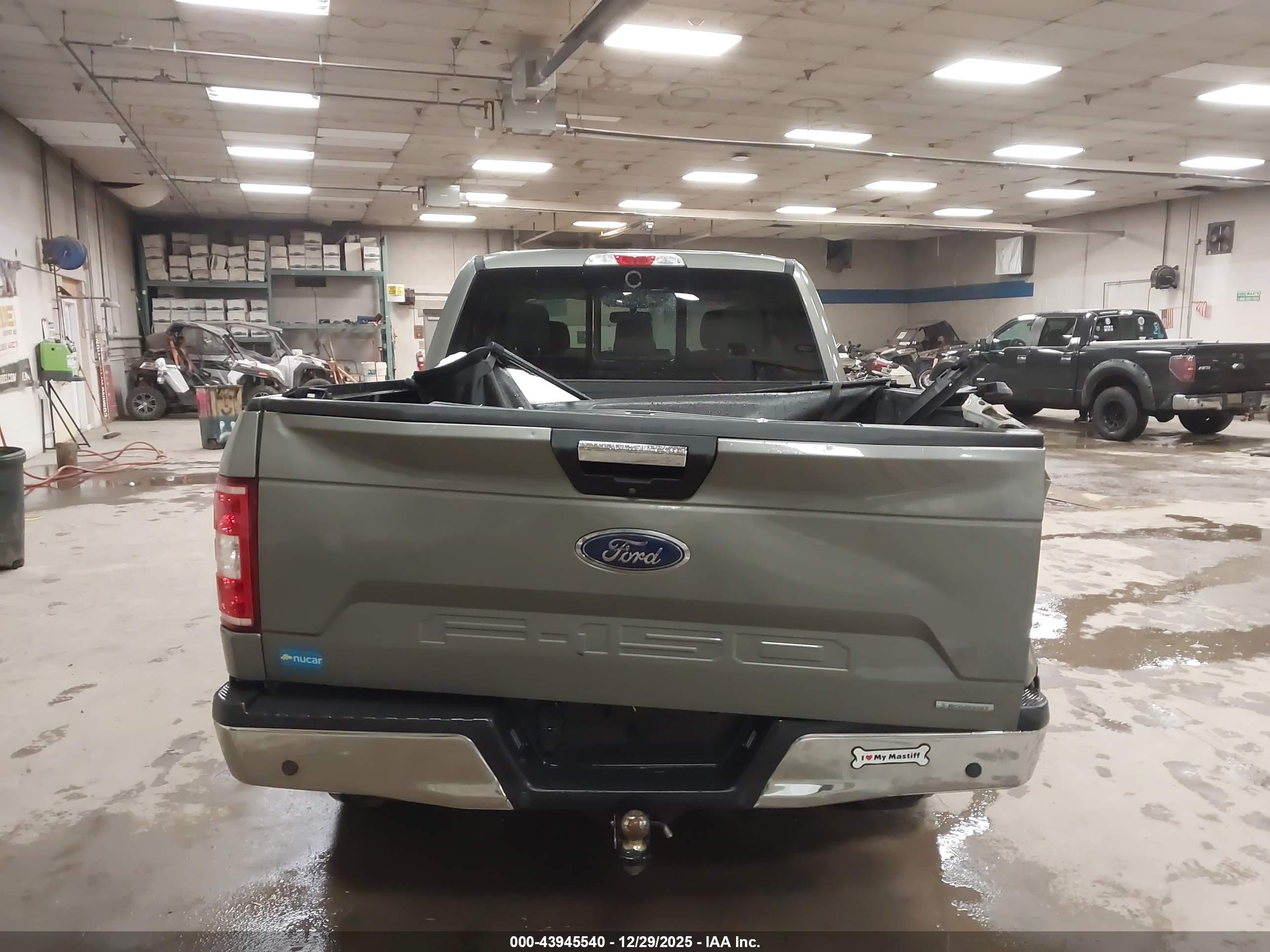 FORD F-150 image 6