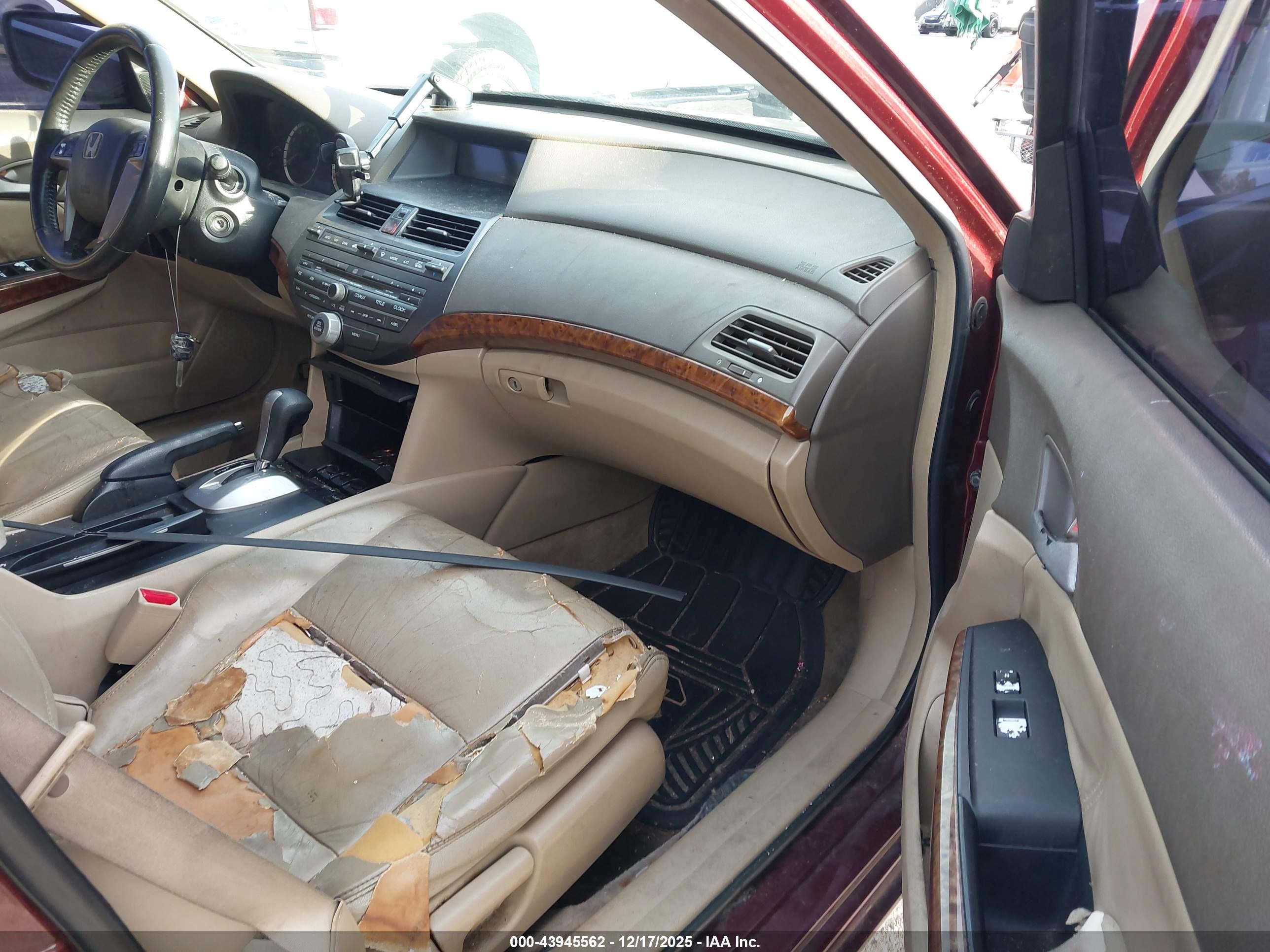 HONDA ACCORD image 5