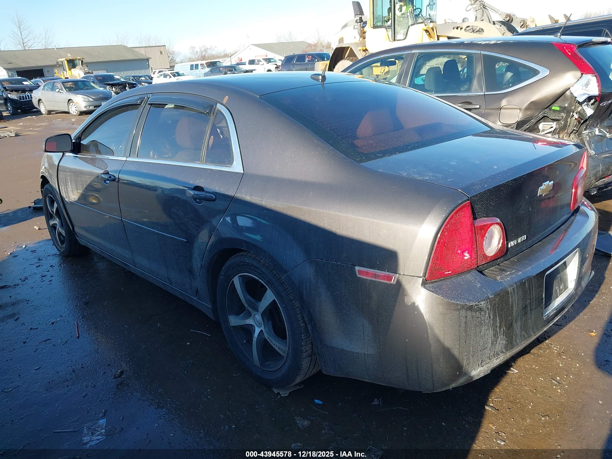 CHEVROLET MALIBU image 3