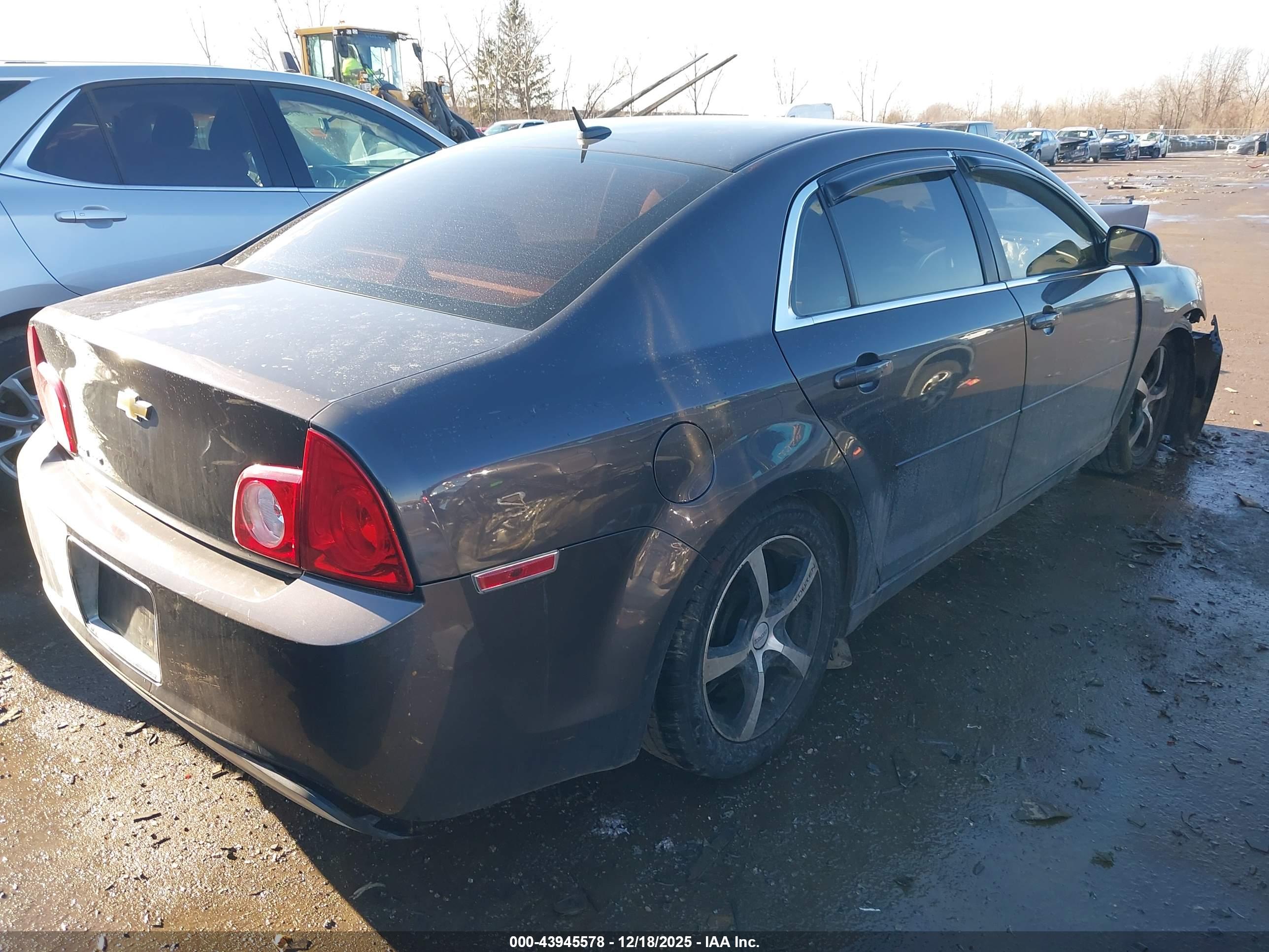 CHEVROLET MALIBU image 4