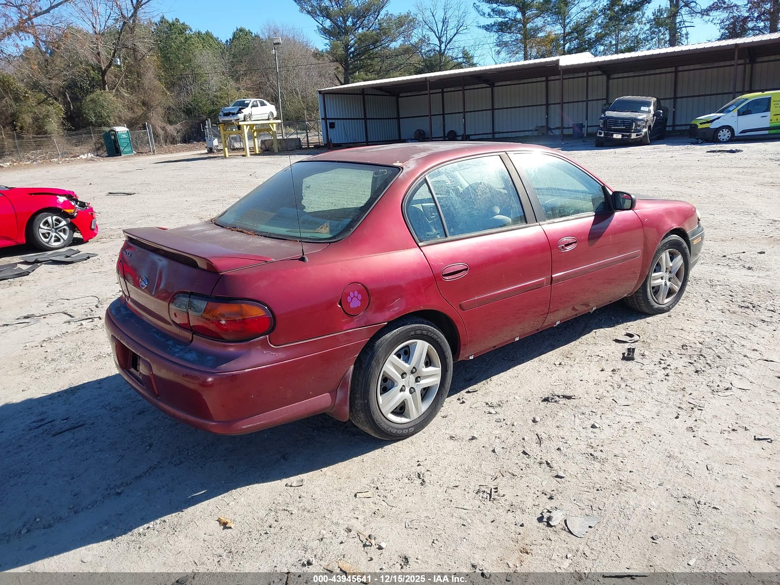 CHEVROLET MALIBU image 4