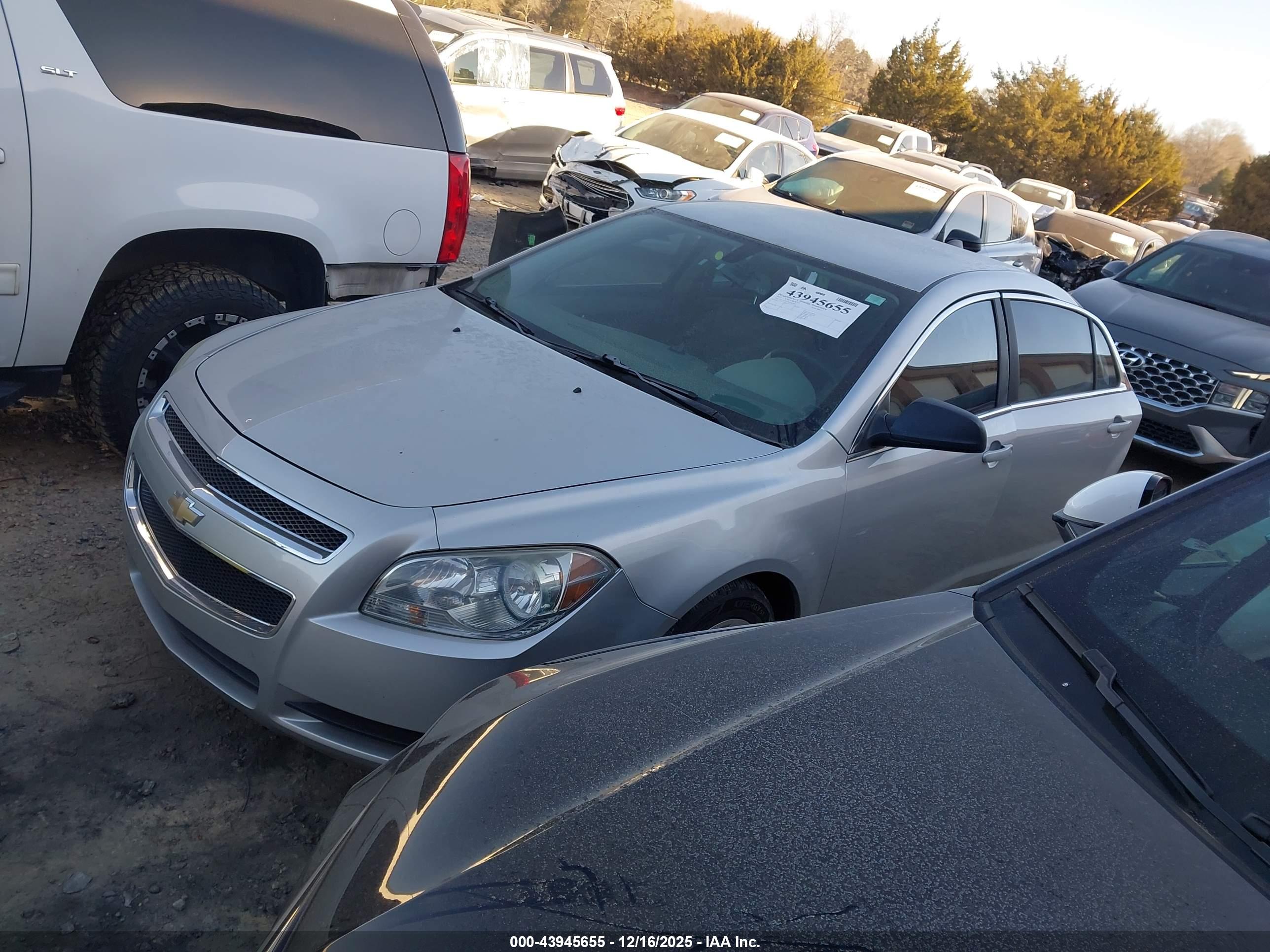 CHEVROLET MALIBU image 2