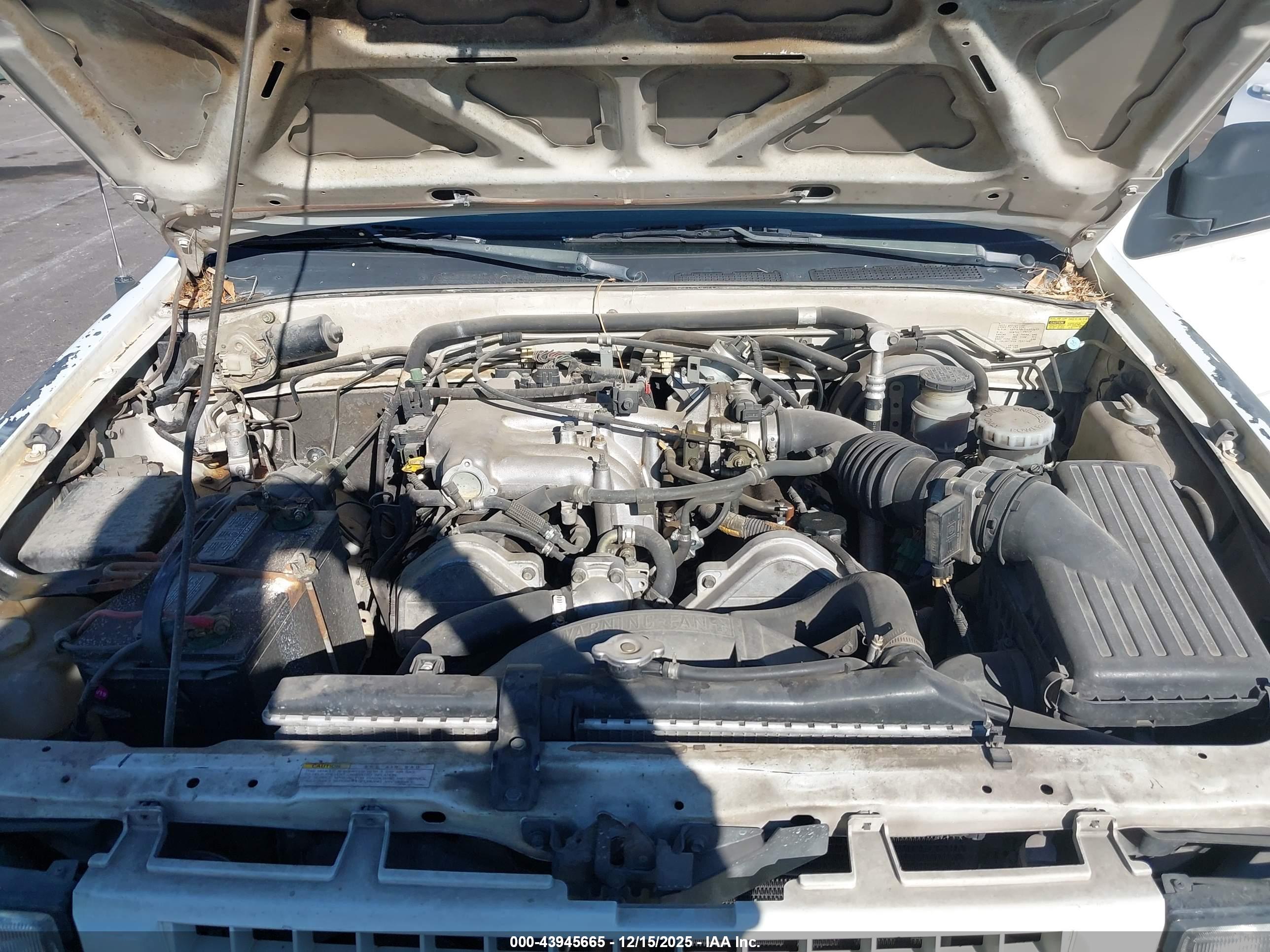 ISUZU RODEO image 10