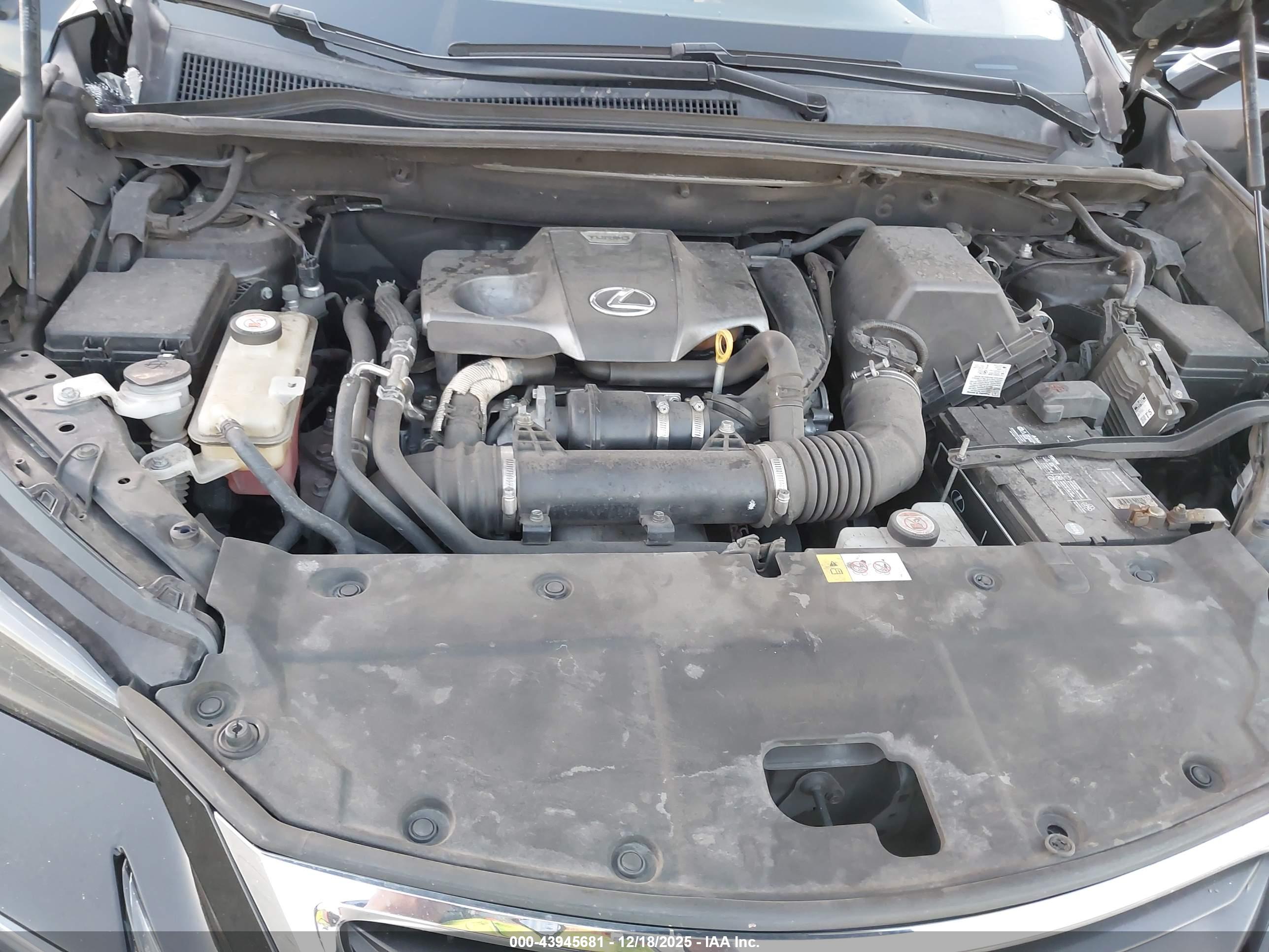 LEXUS NX image 10