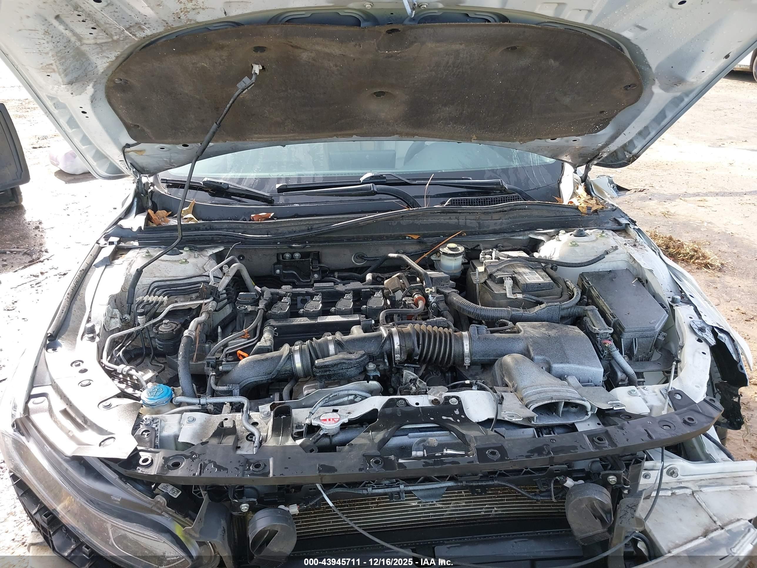 HONDA ACCORD image 10