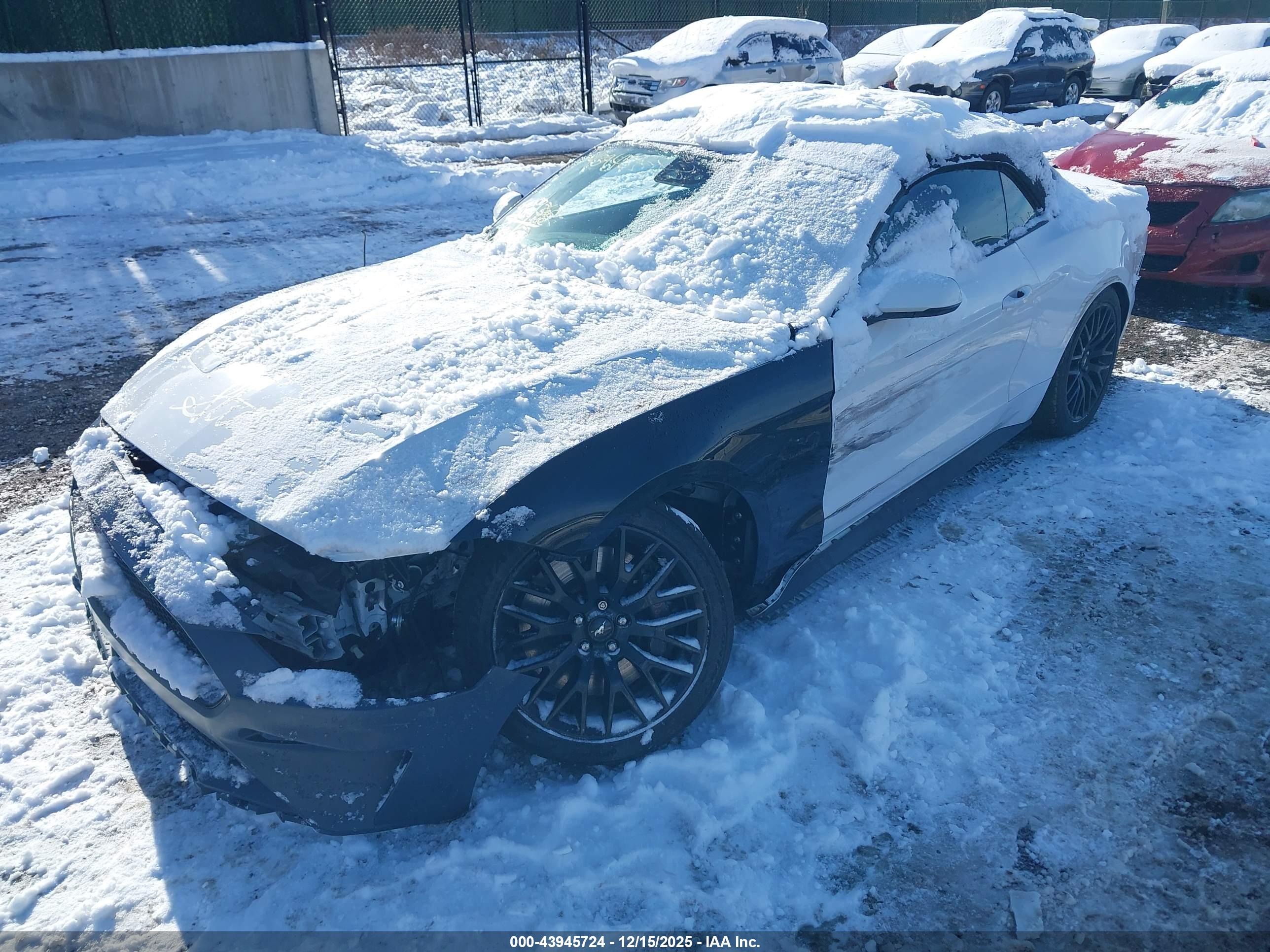 FORD MUSTANG image 2