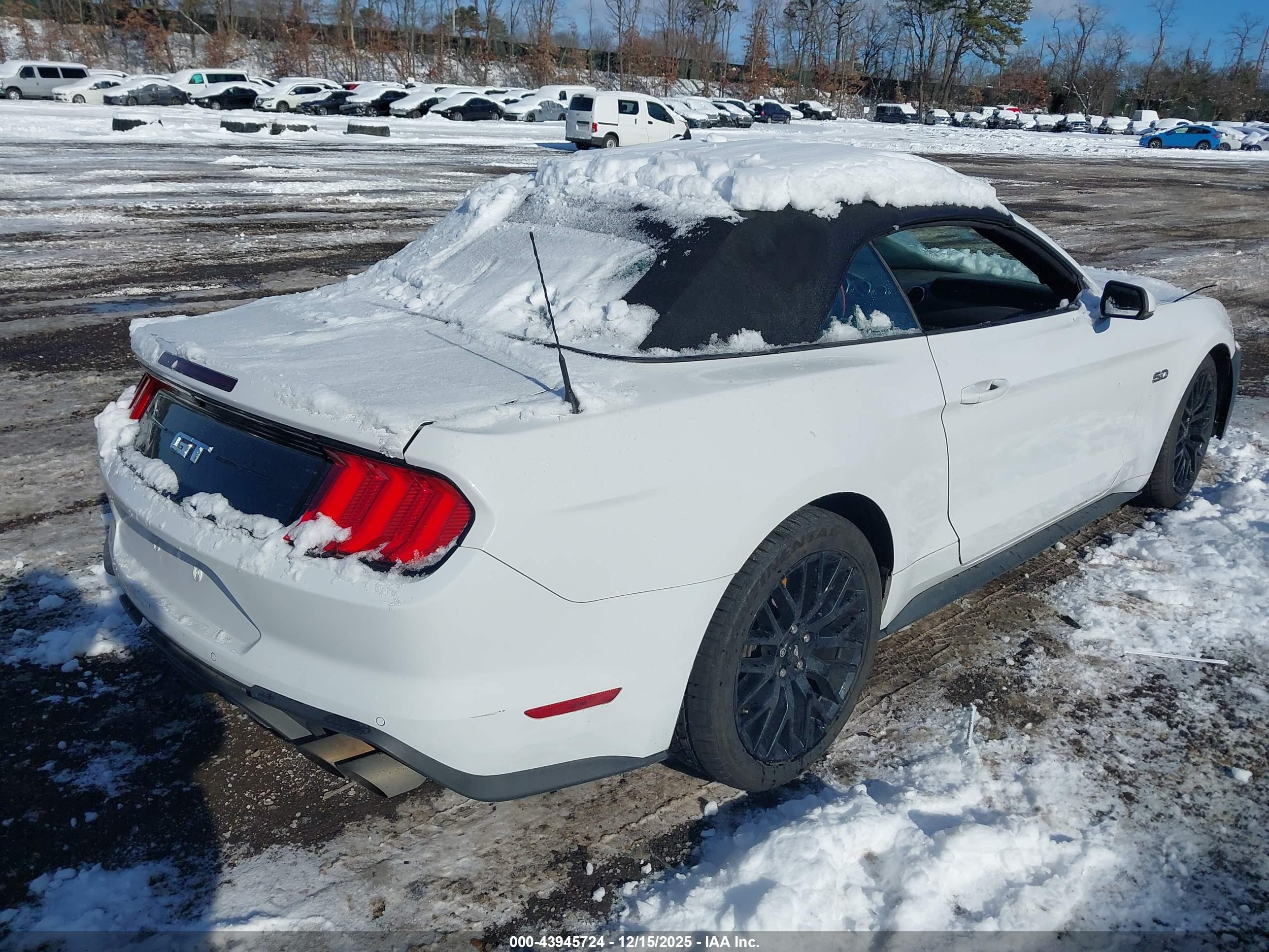 FORD MUSTANG image 4
