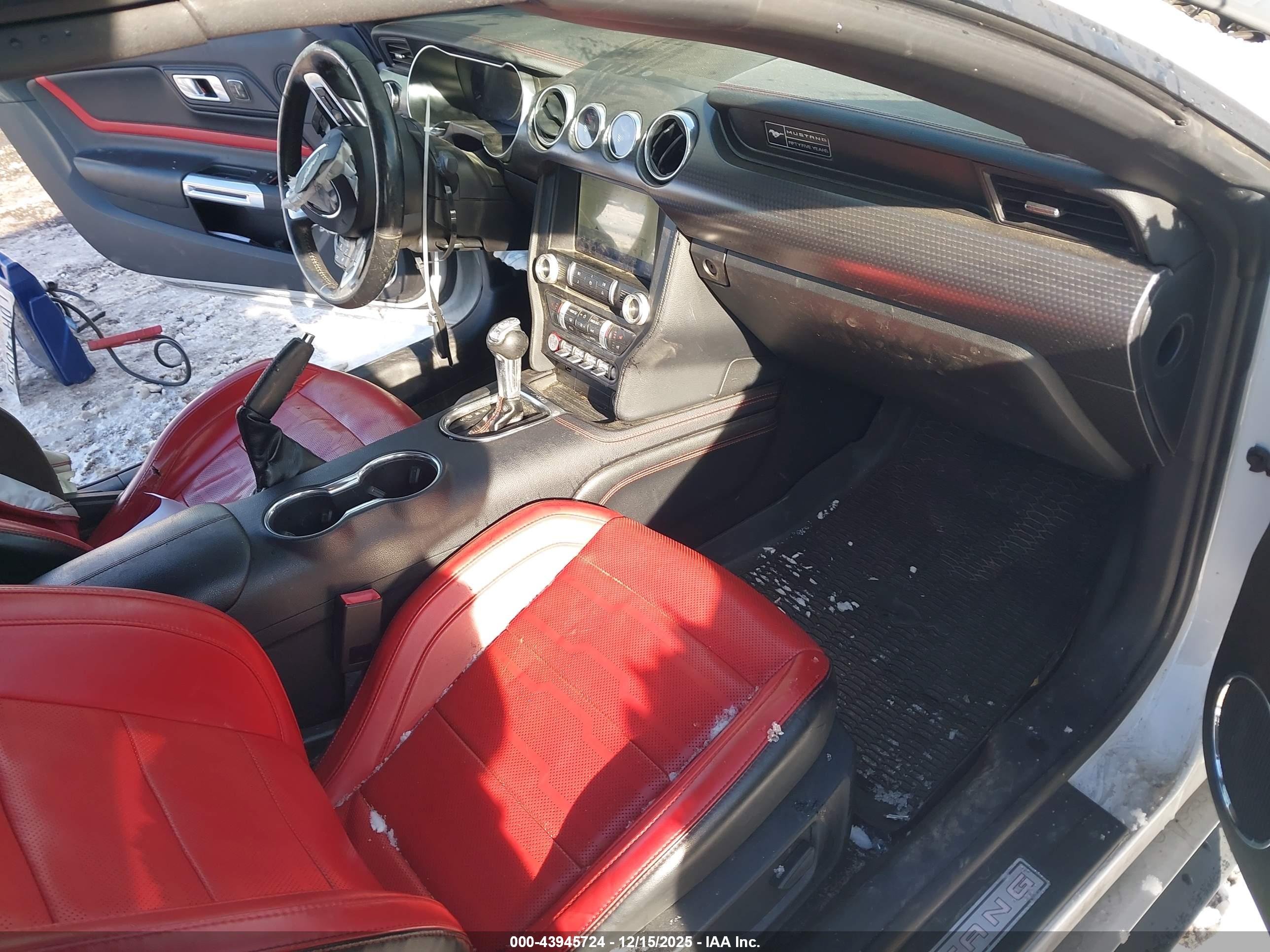 FORD MUSTANG image 5