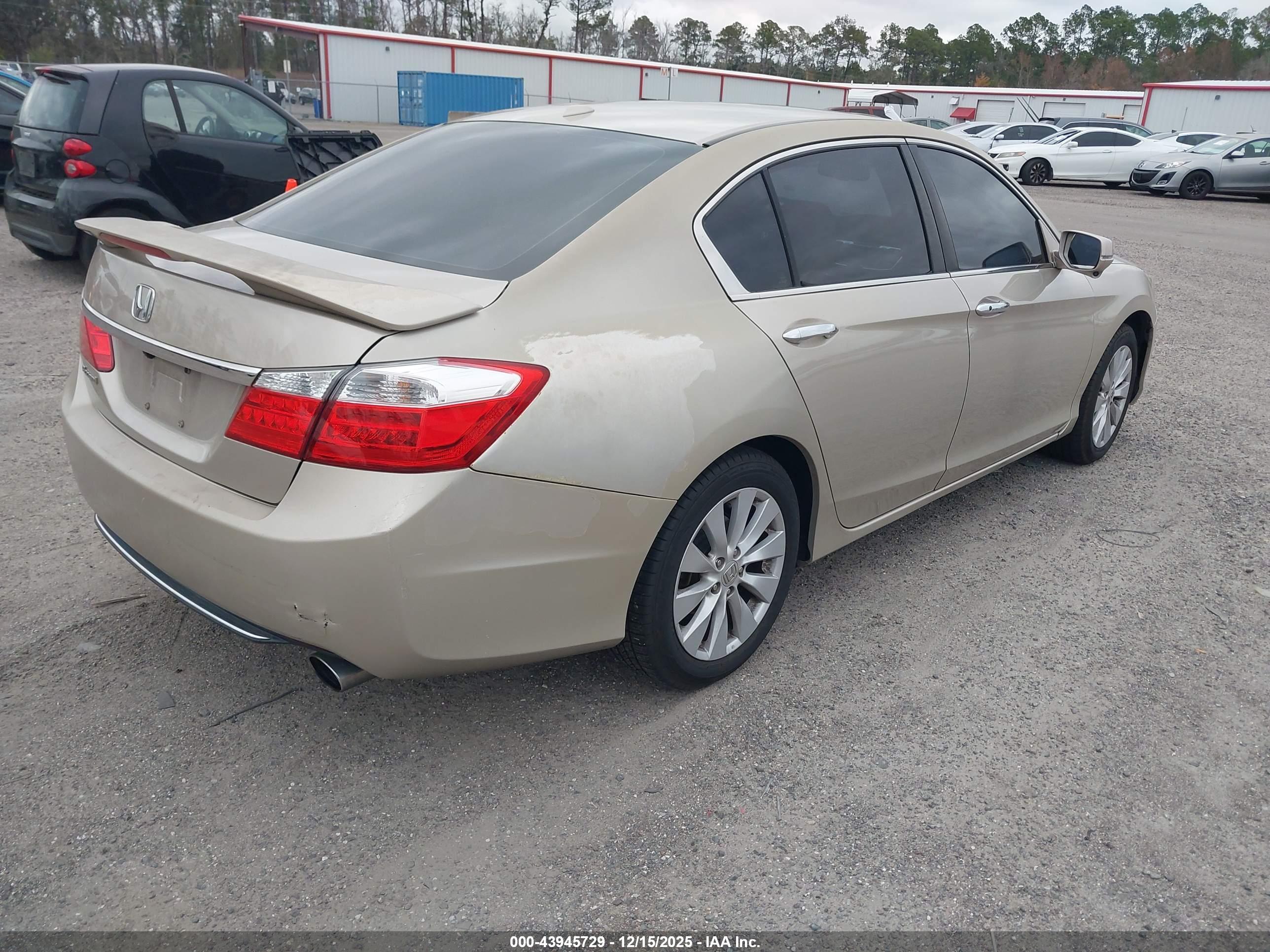 HONDA ACCORD image 4