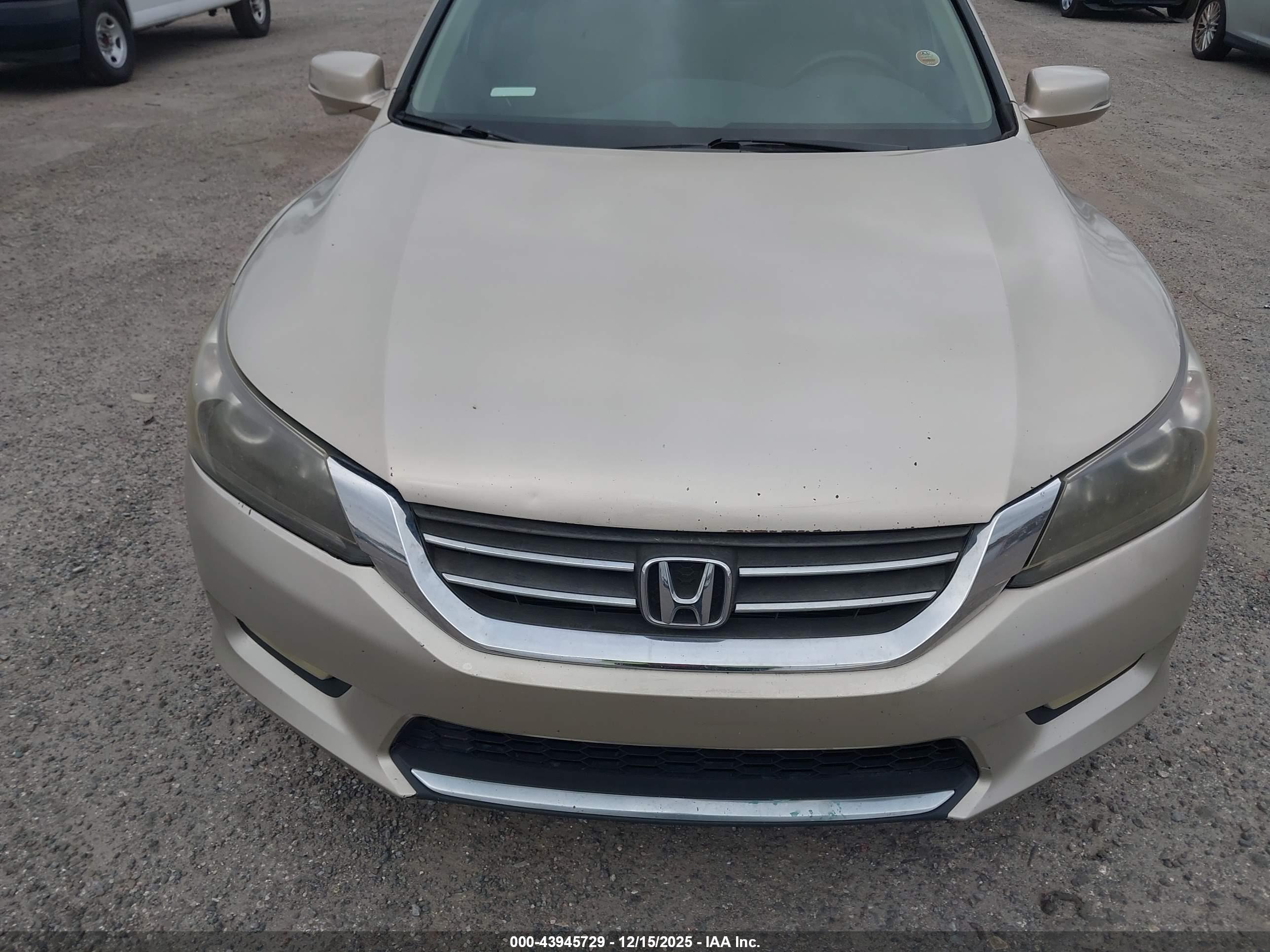HONDA ACCORD image 6