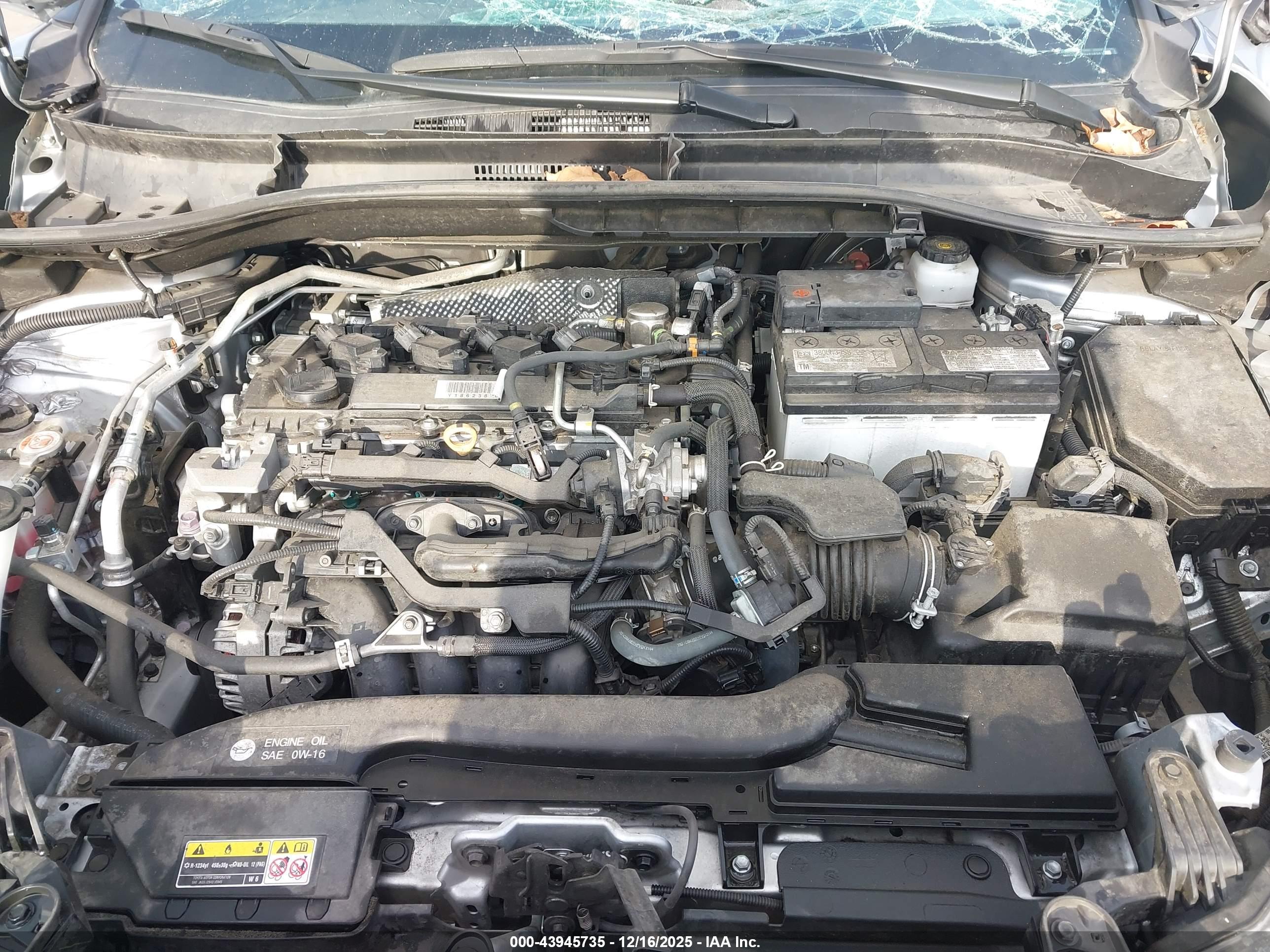 TOYOTA COROLLA image 10