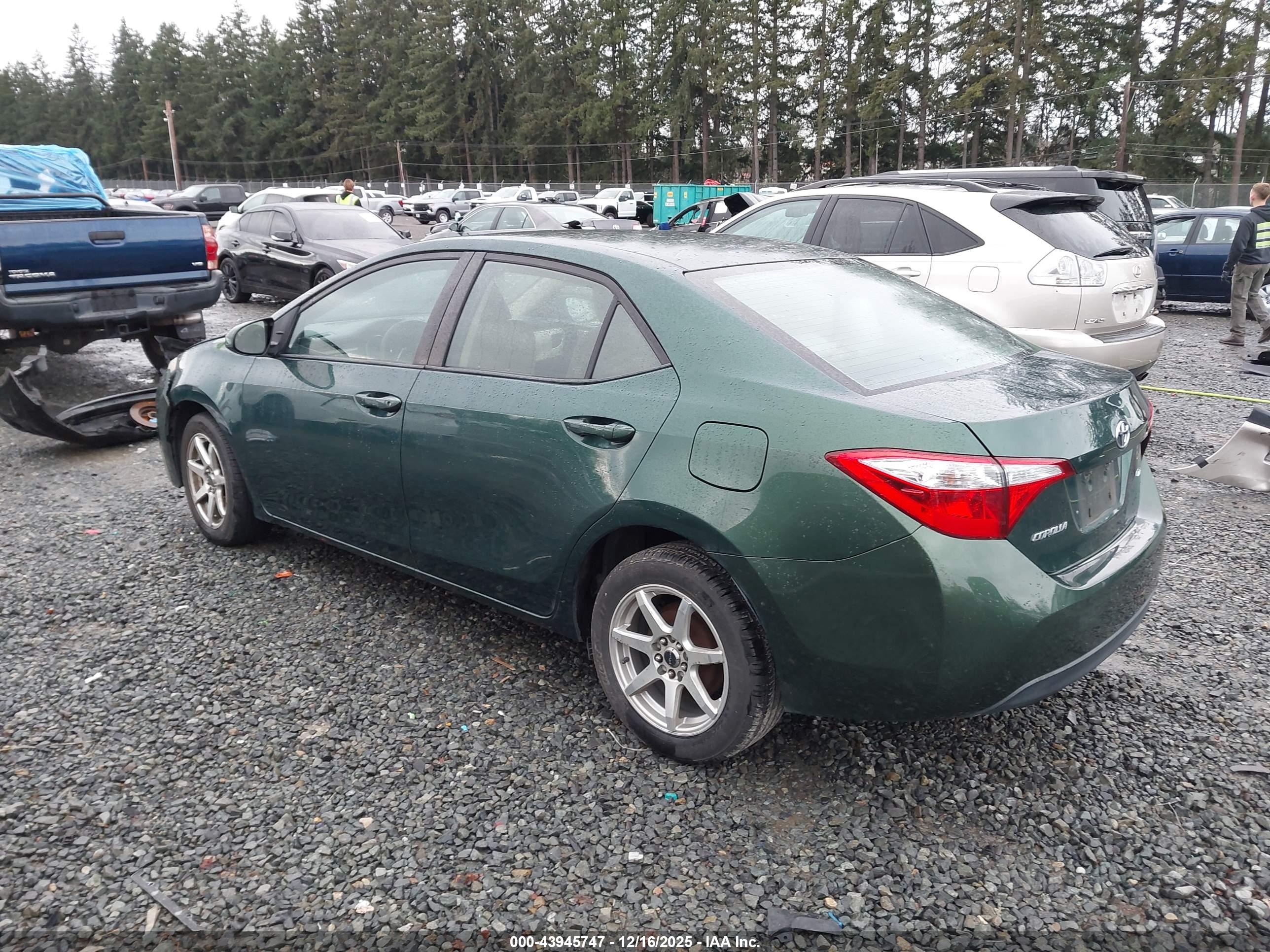 TOYOTA COROLLA image 3