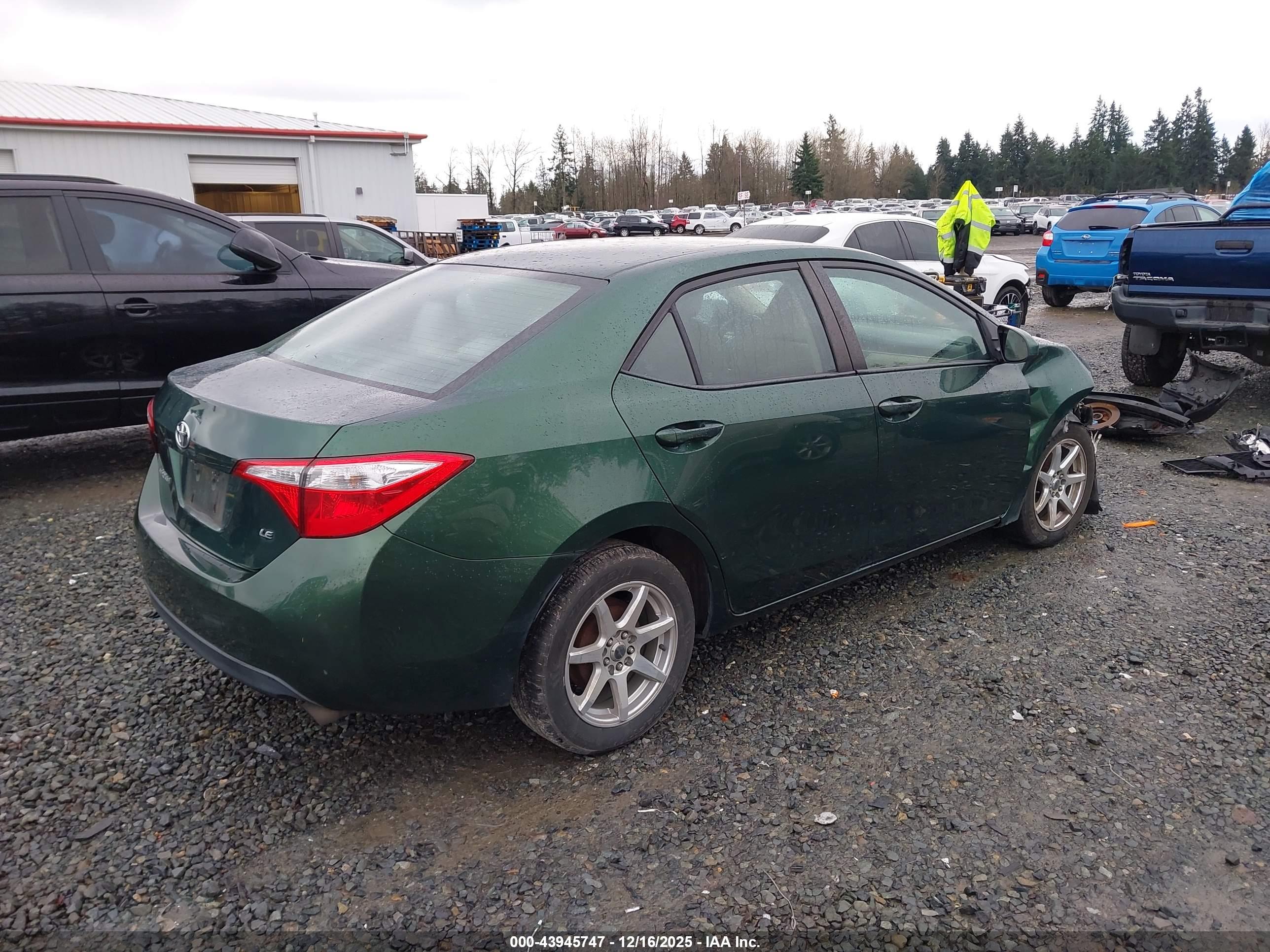 TOYOTA COROLLA image 4