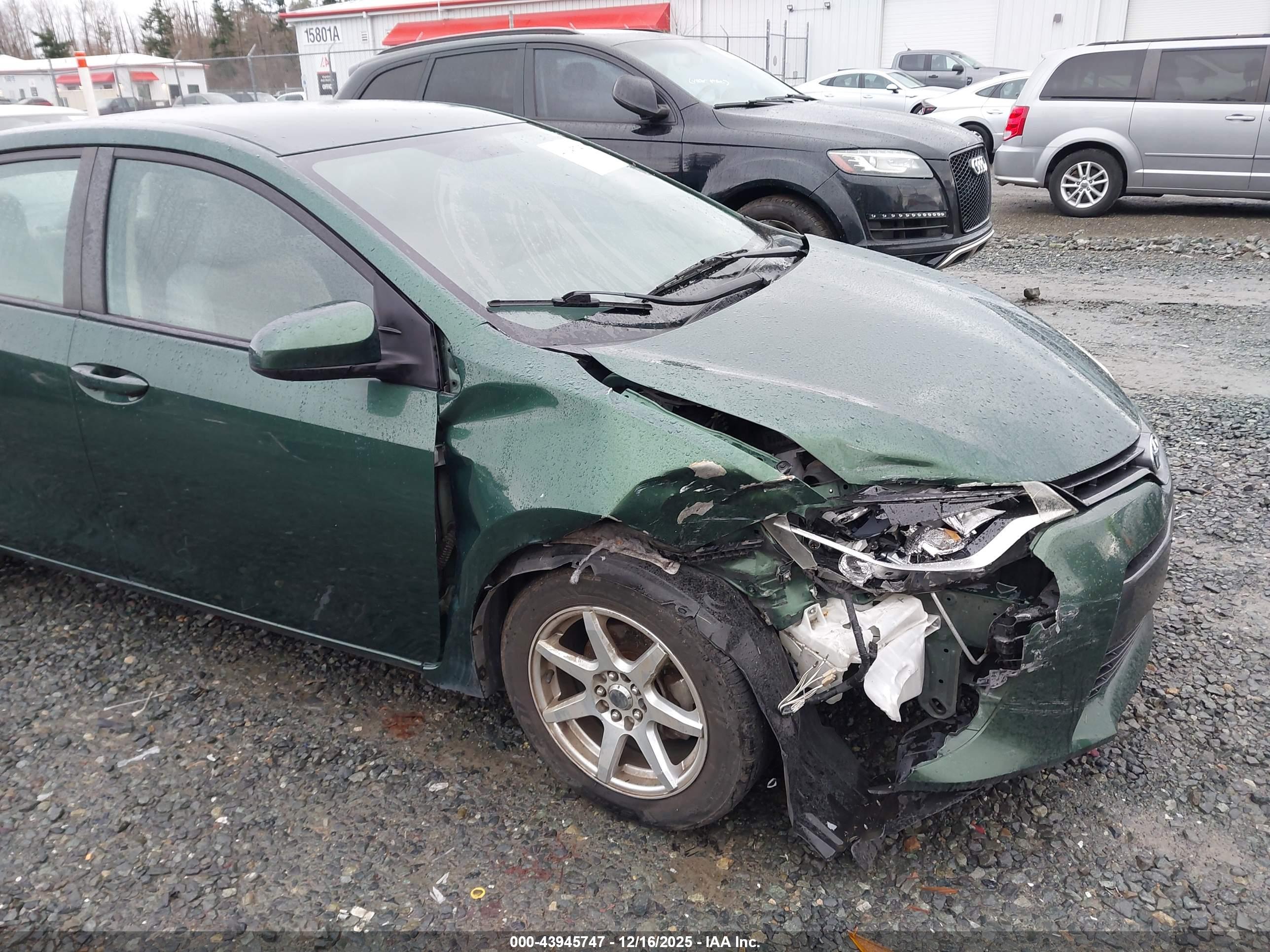 TOYOTA COROLLA image 6
