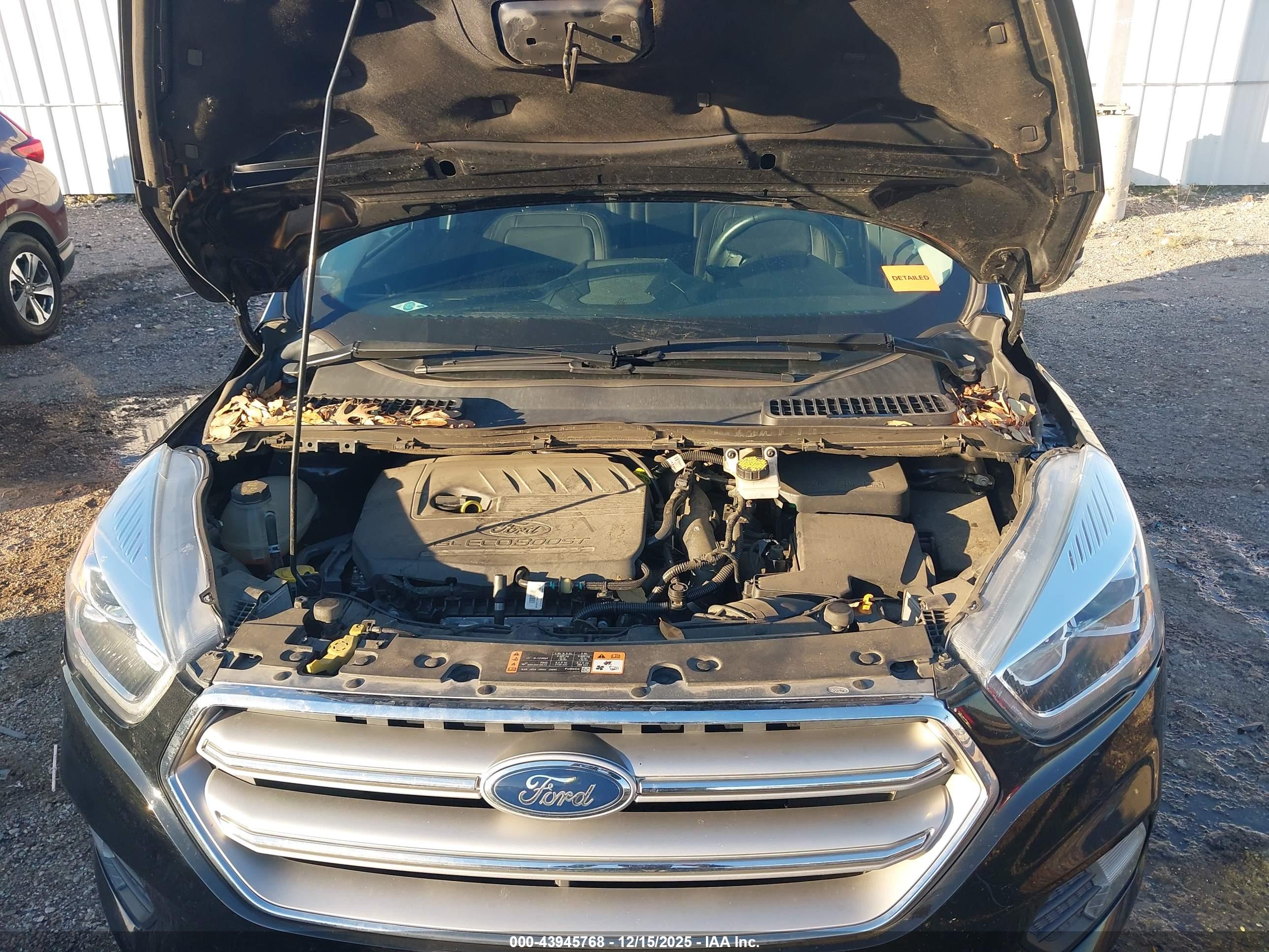 FORD ESCAPE image 10
