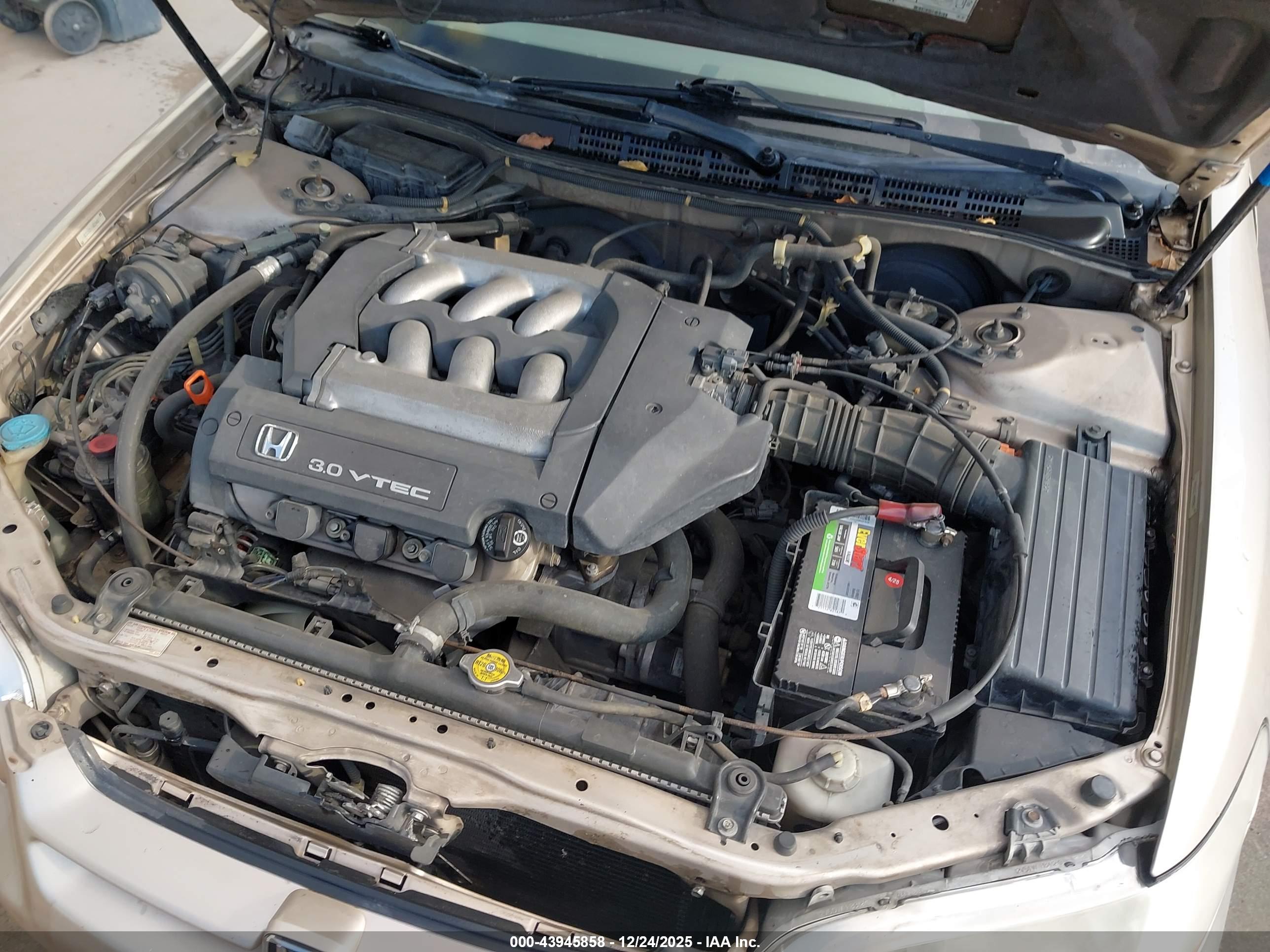 HONDA ACCORD image 10
