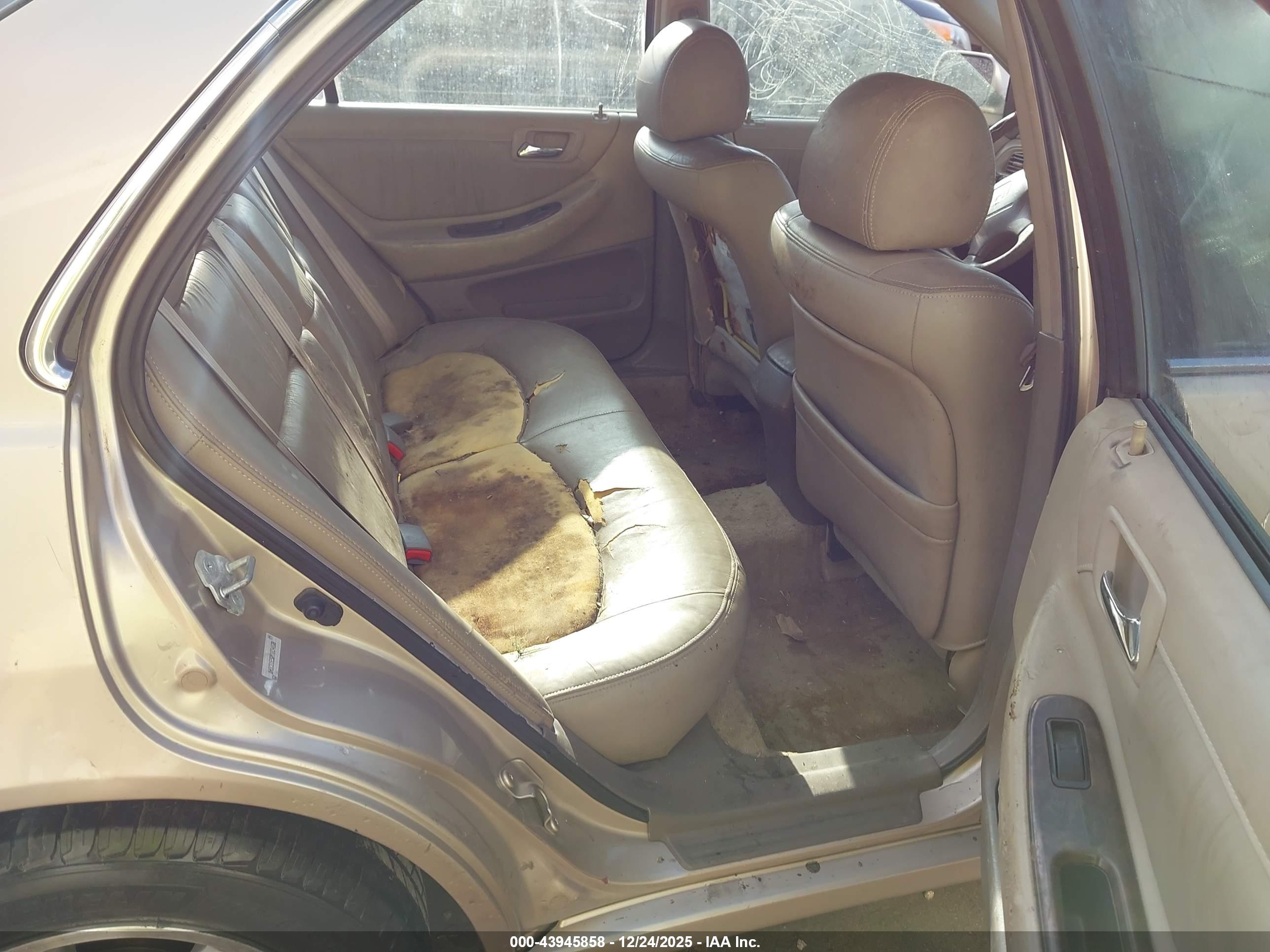 HONDA ACCORD image 8