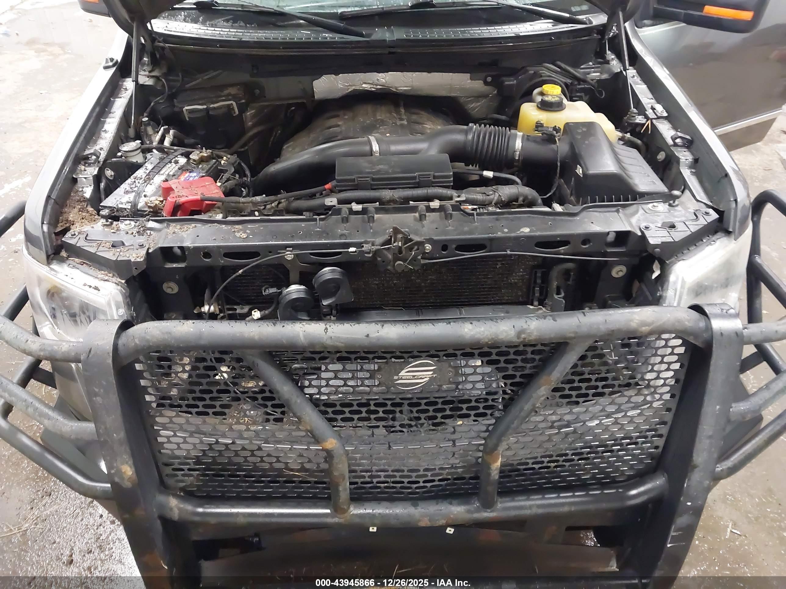 FORD F-150 image 10