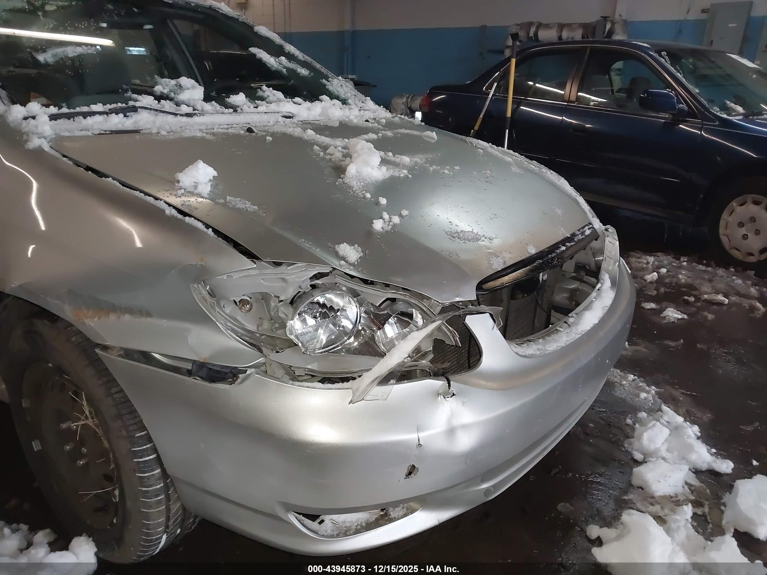 TOYOTA COROLLA image 6