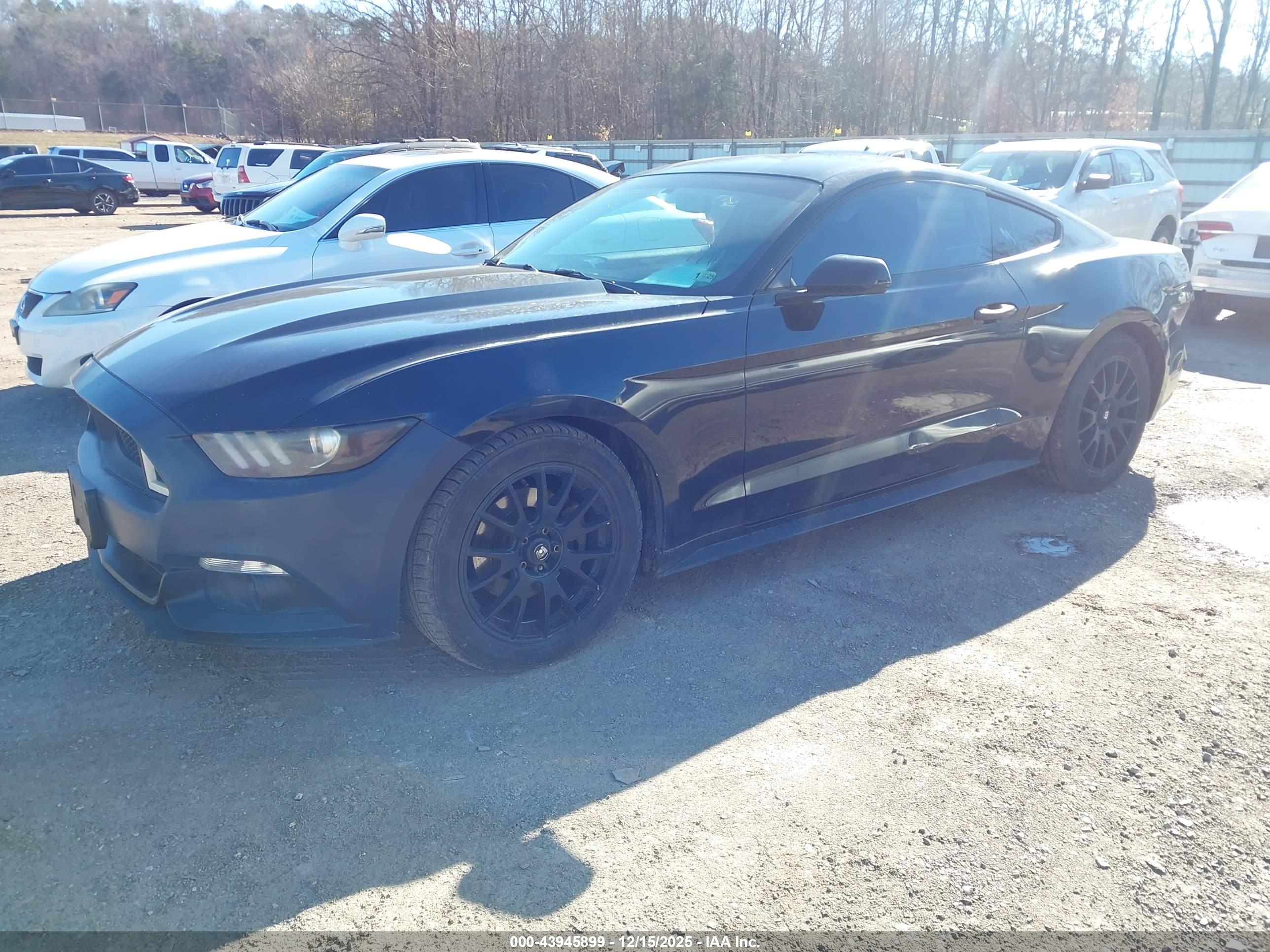 FORD MUSTANG image 2