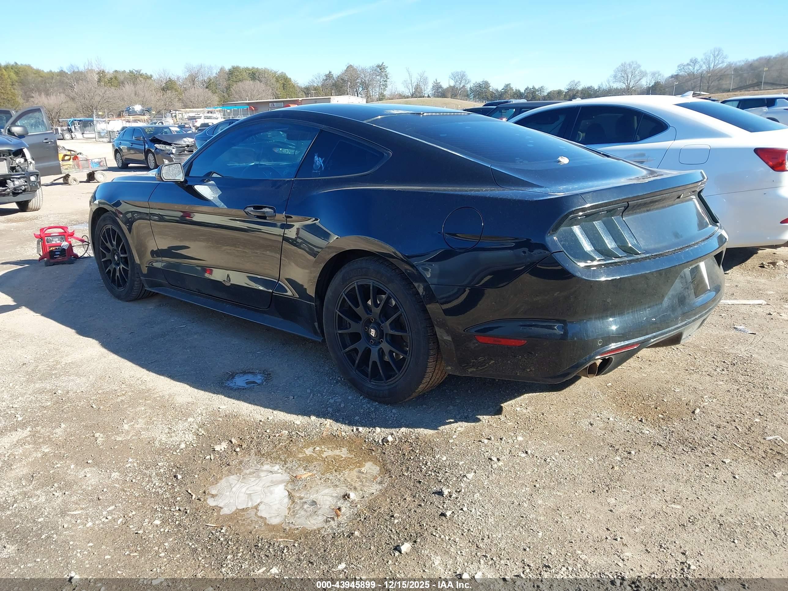 FORD MUSTANG image 3