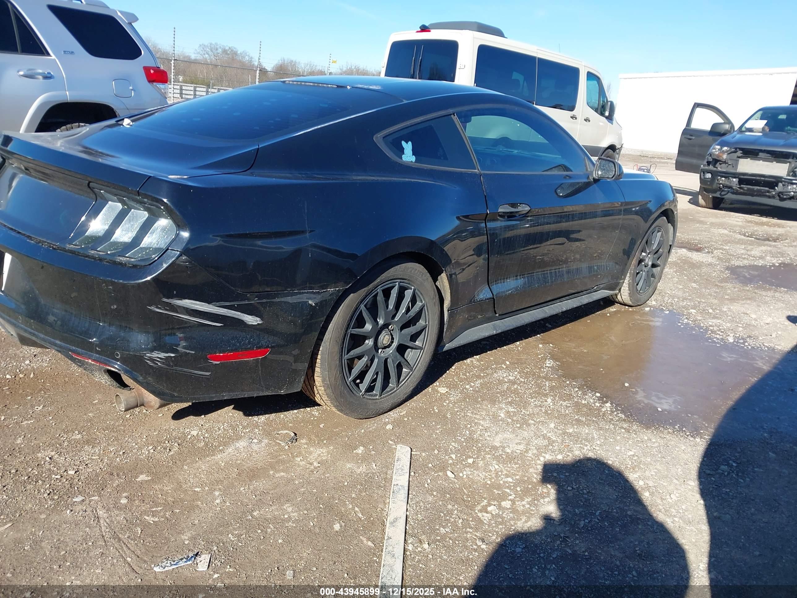 FORD MUSTANG image 4