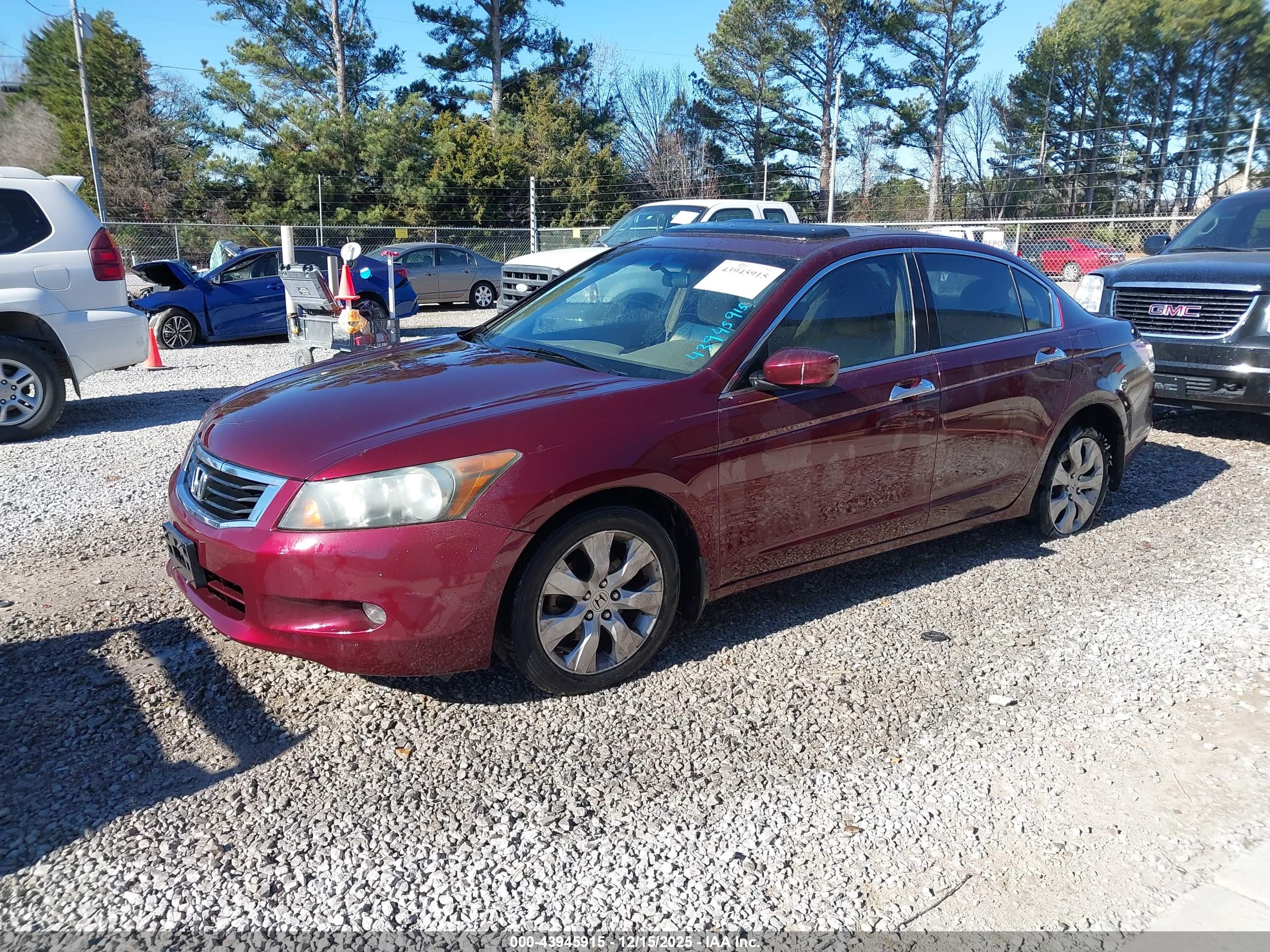 HONDA ACCORD image 2