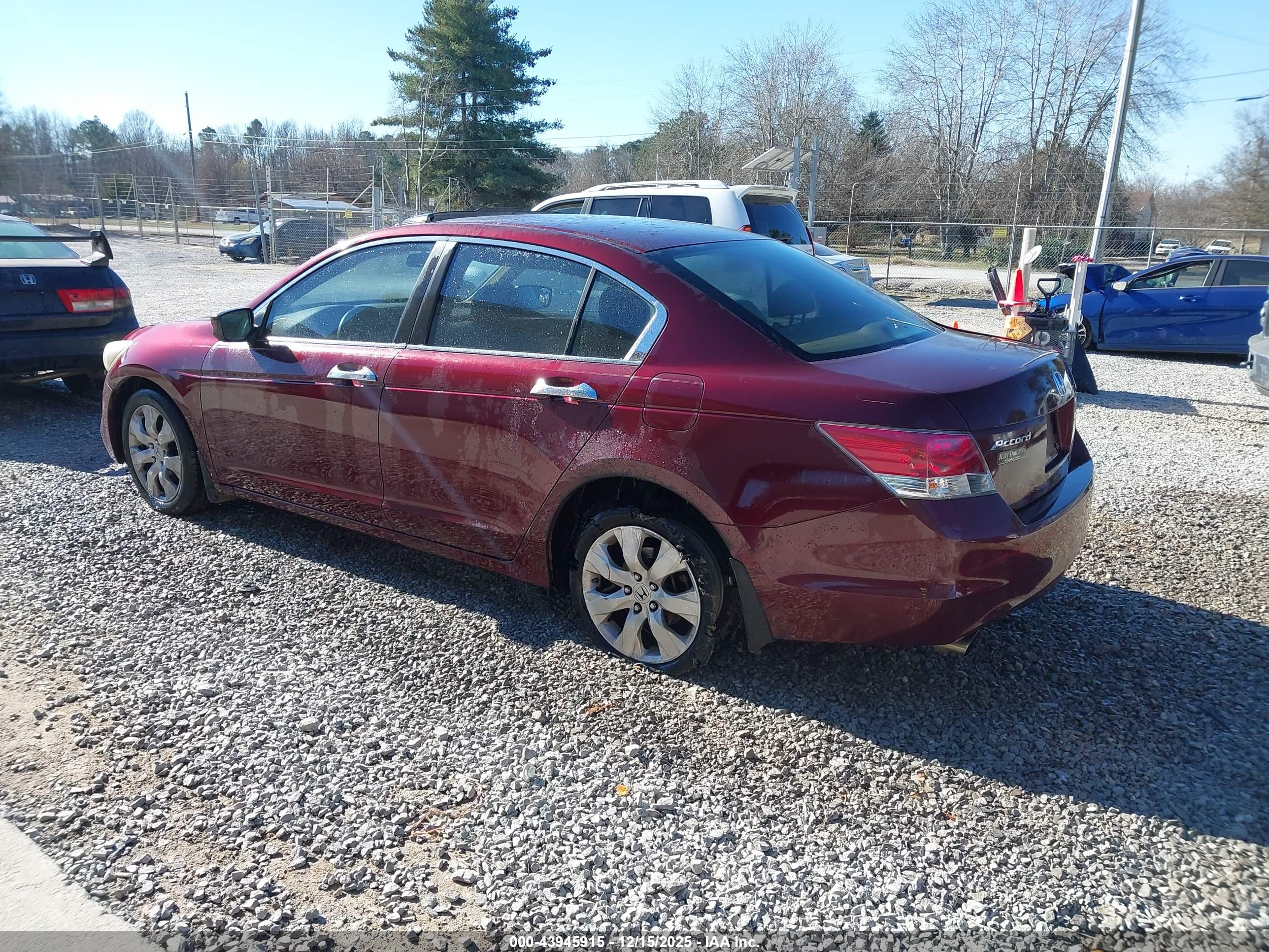 HONDA ACCORD image 3