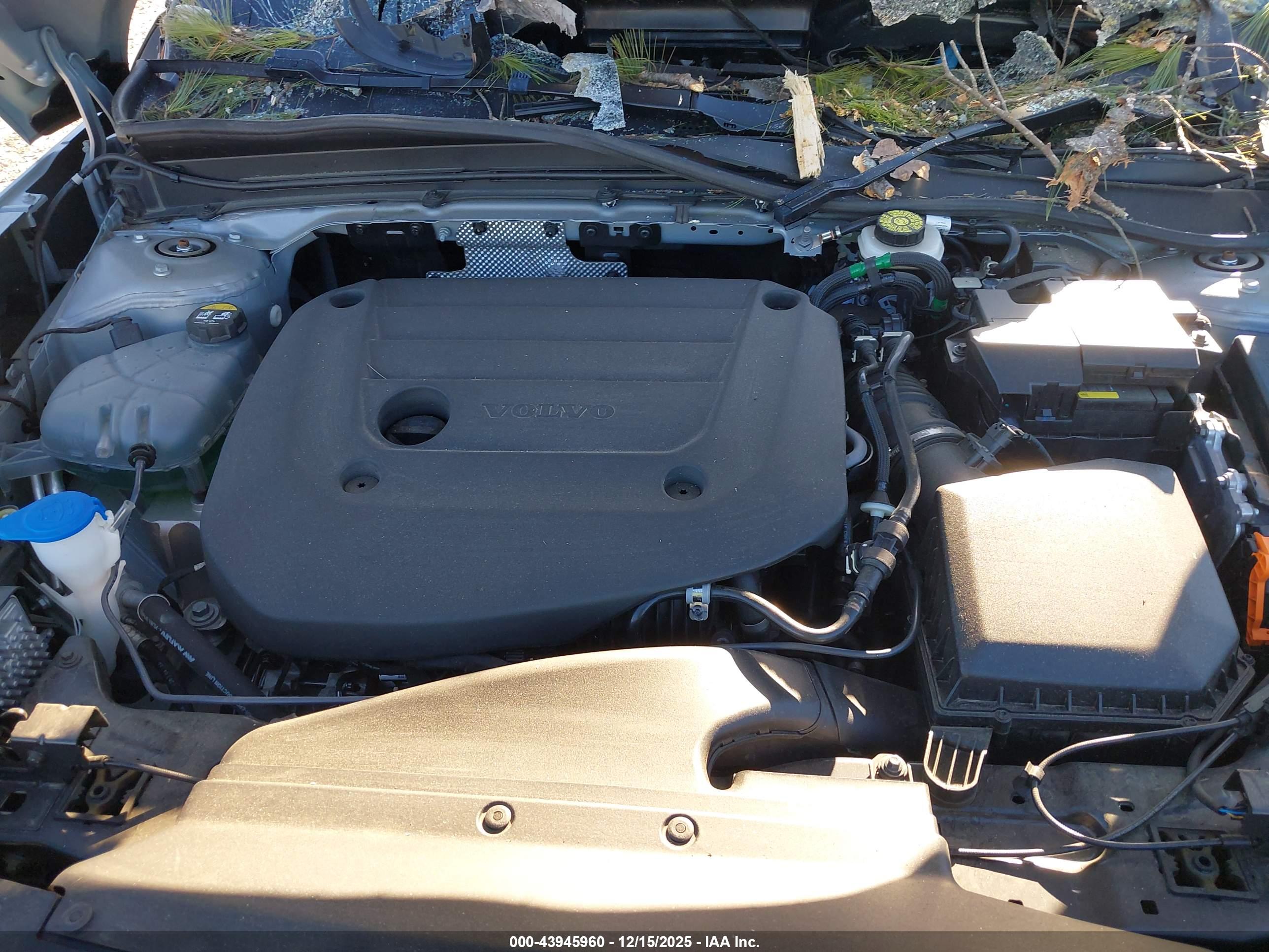 VOLVO XC40 image 10