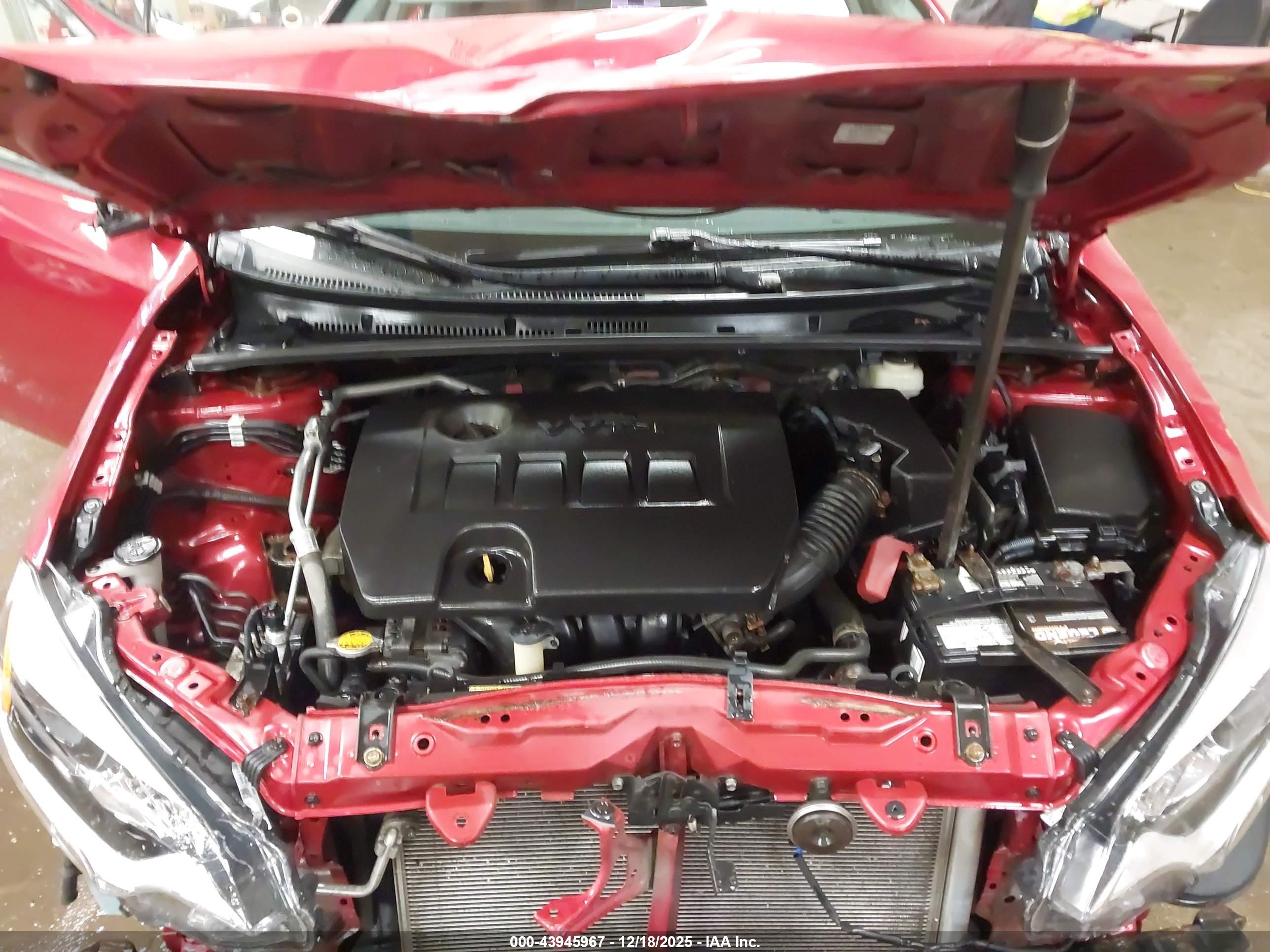 TOYOTA COROLLA image 10