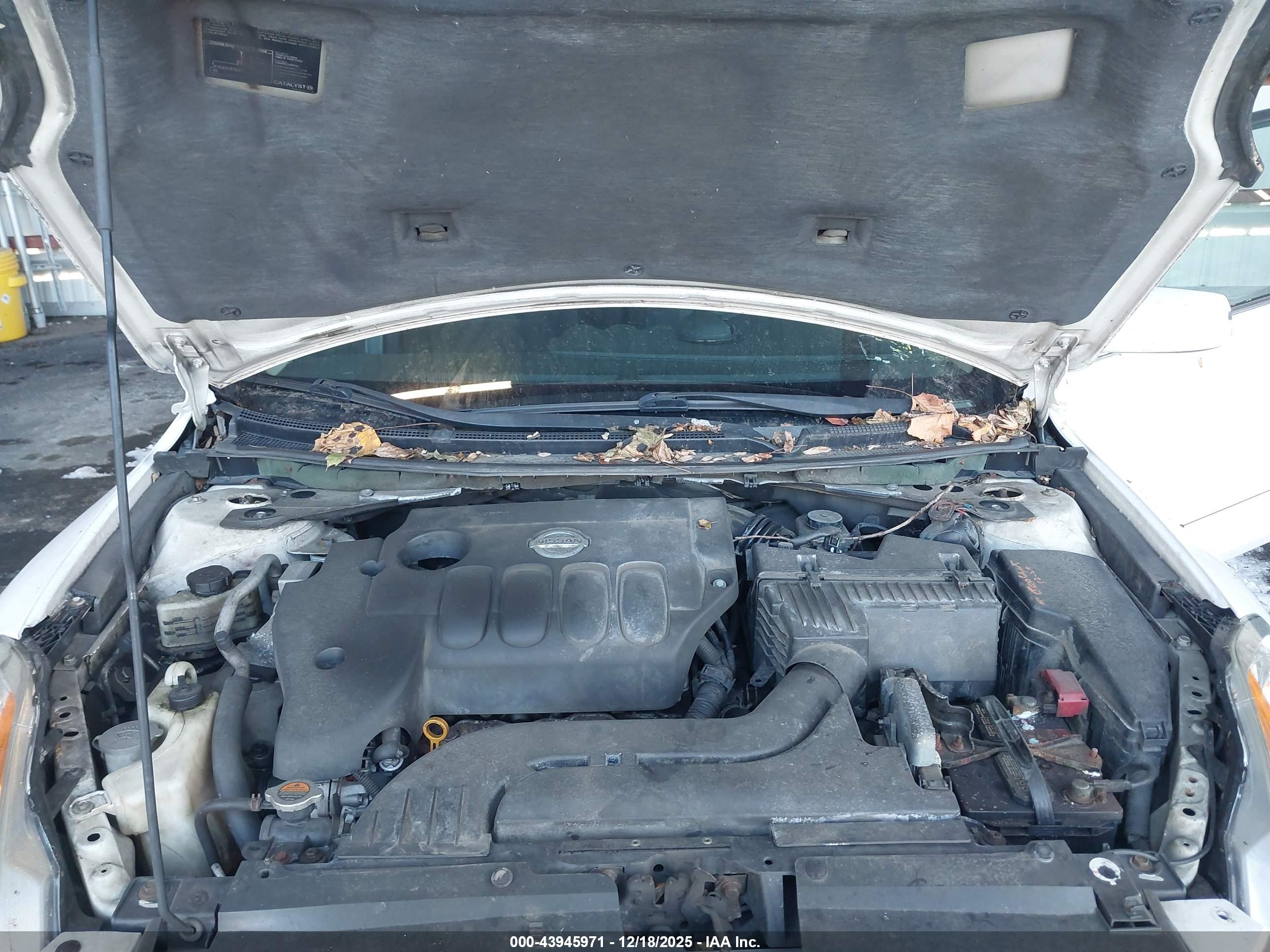 NISSAN ALTIMA image 10