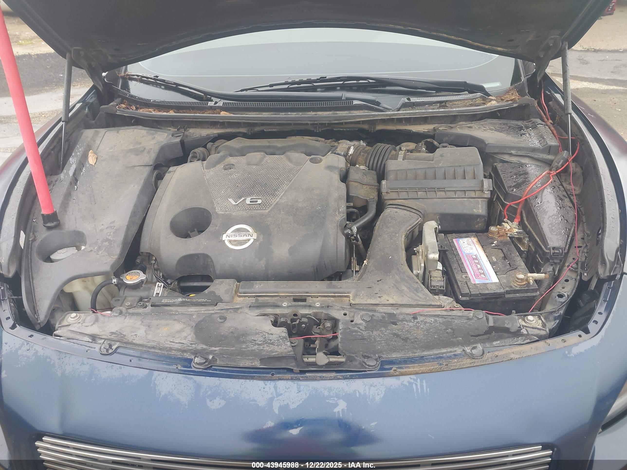 NISSAN MAXIMA image 10