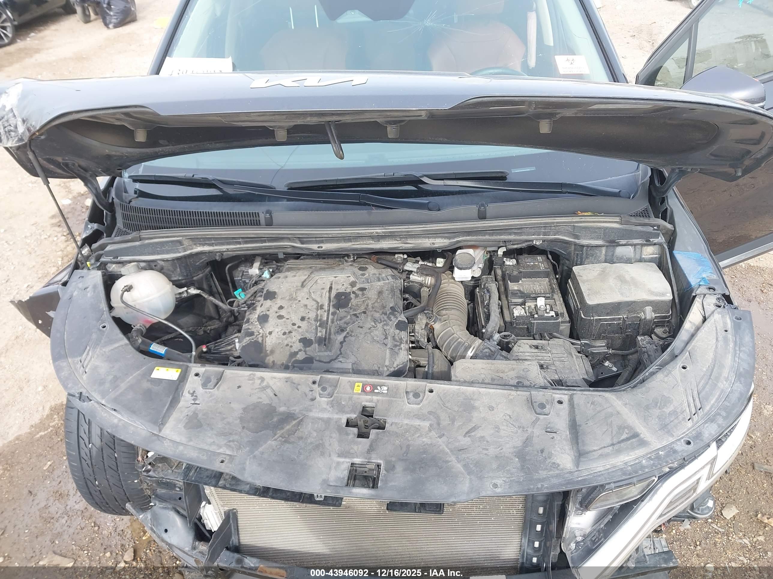 KIA CARNIVAL image 10