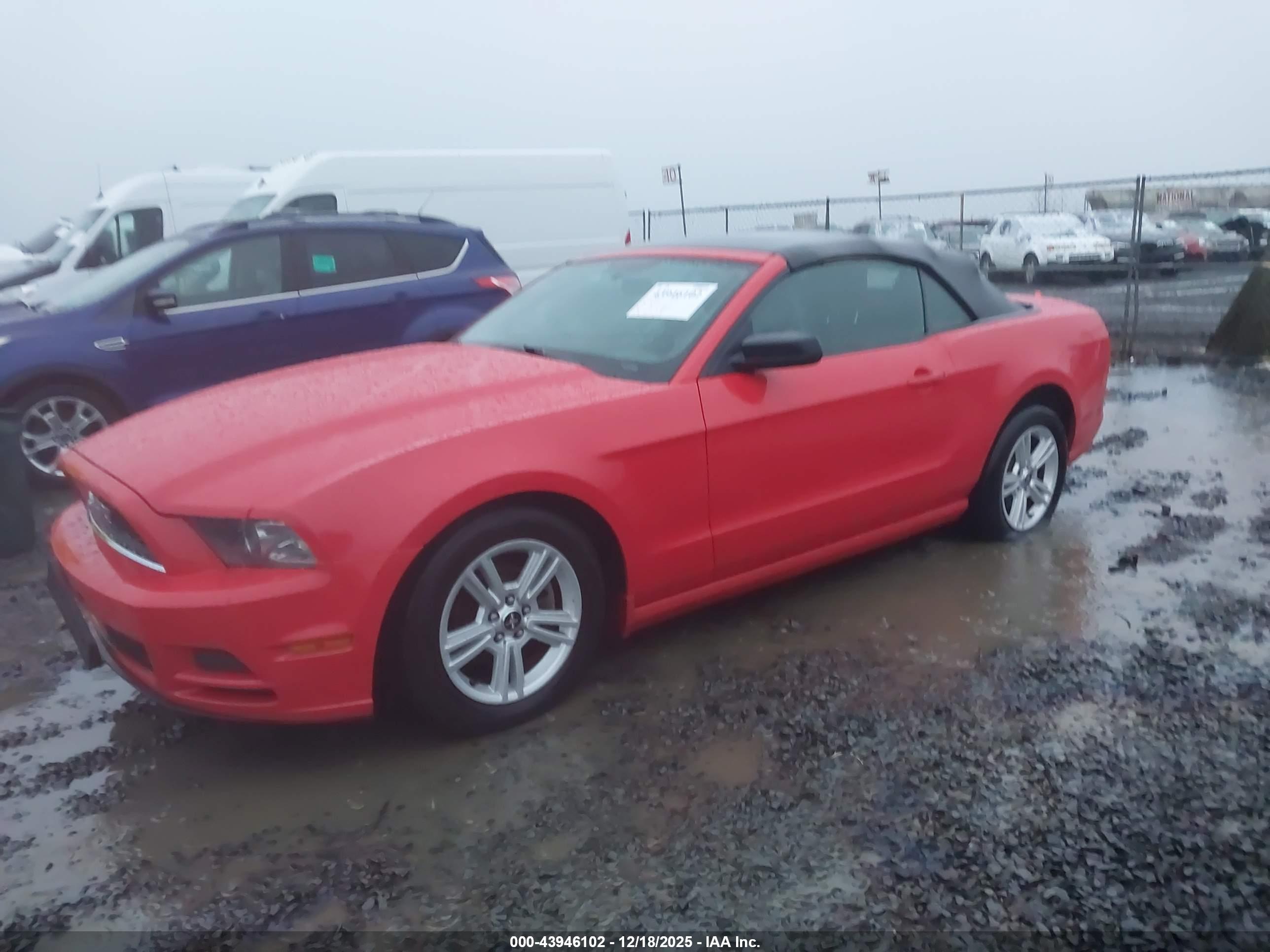 FORD MUSTANG image 2